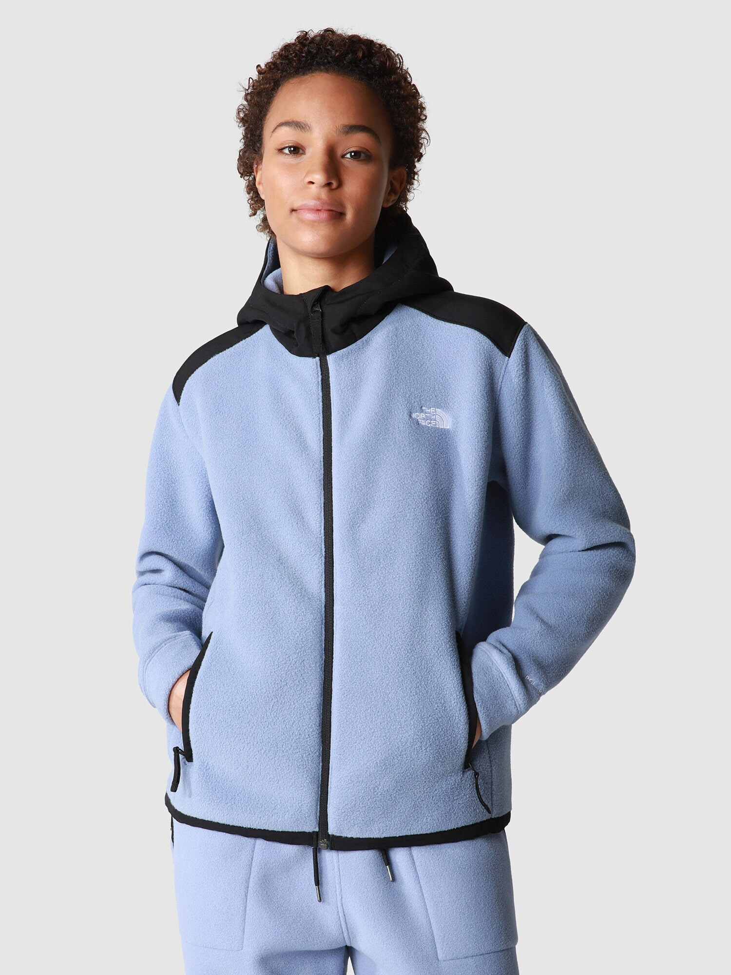 THE NORTH FACE Jachetă fleece funcțională 'ALPINE' albastru pastel / negru - Pled.ro