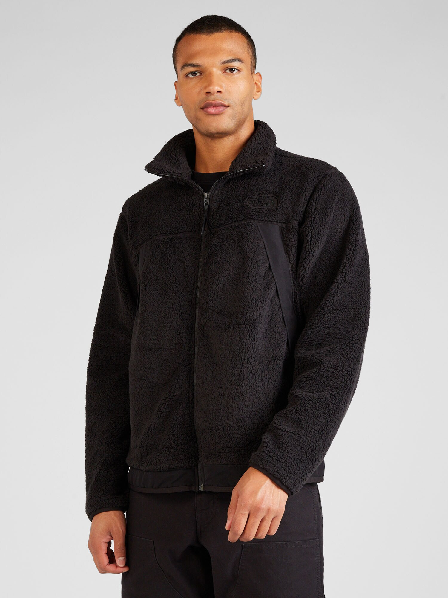 THE NORTH FACE Jachetă fleece funcțională negru - Pled.ro