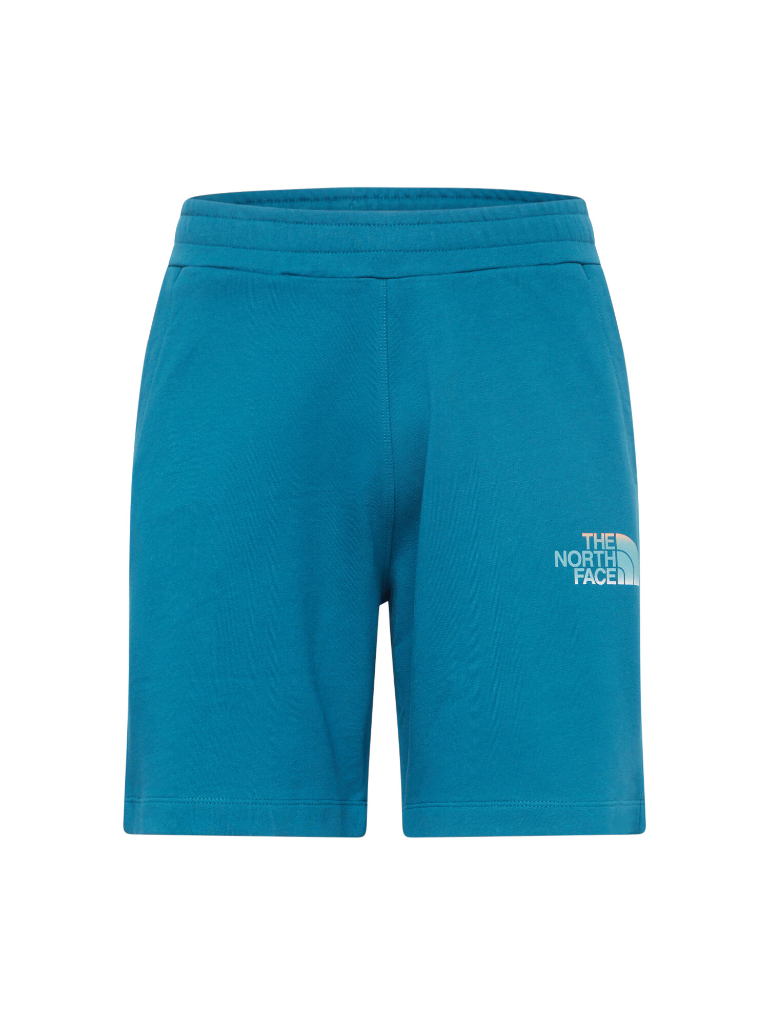 THE NORTH FACE Pantaloni cyan / alb - Pled.ro