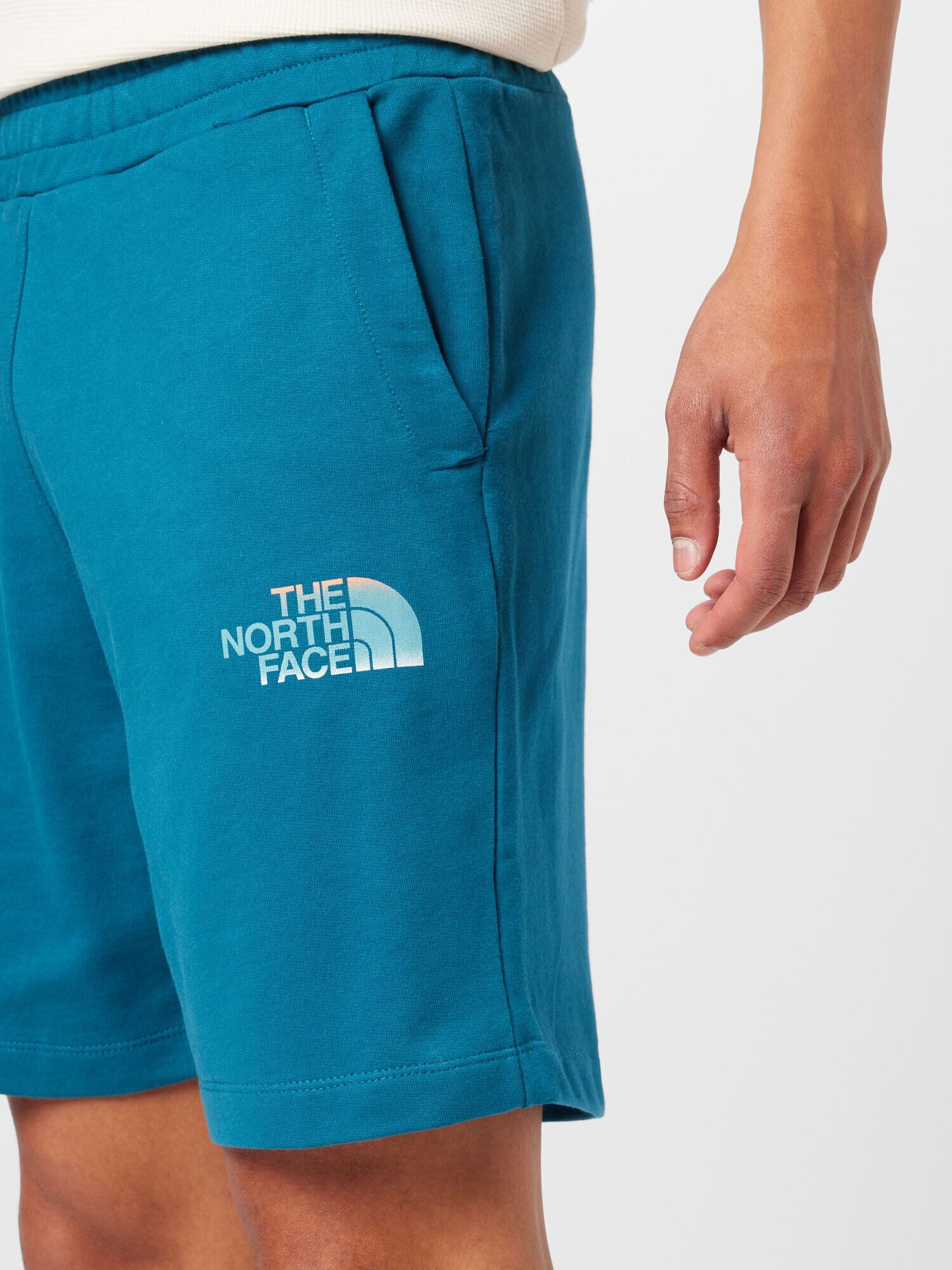 THE NORTH FACE Pantaloni cyan / alb - Pled.ro