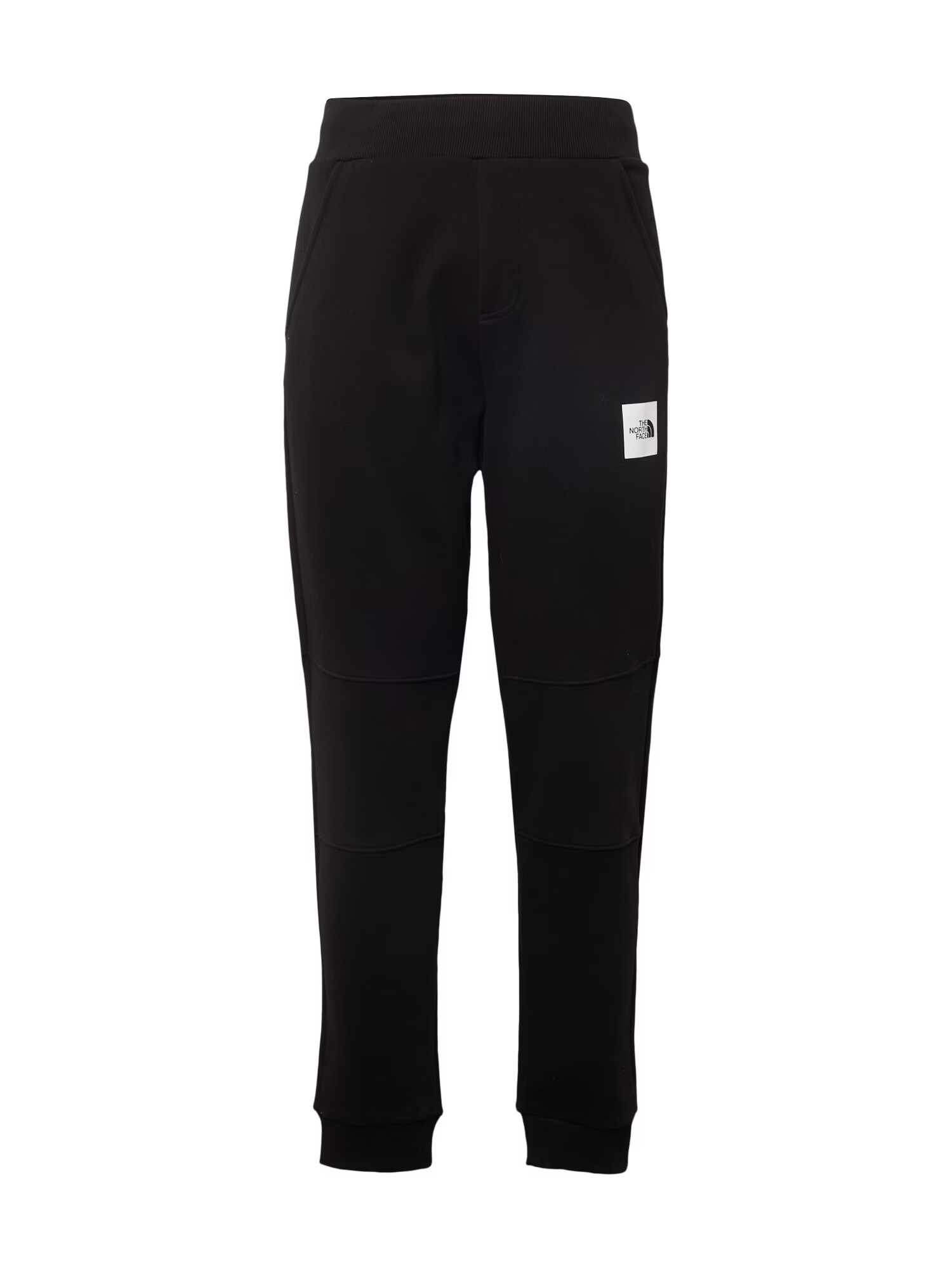 THE NORTH FACE Pantaloni 'FINE' negru / alb - Pled.ro