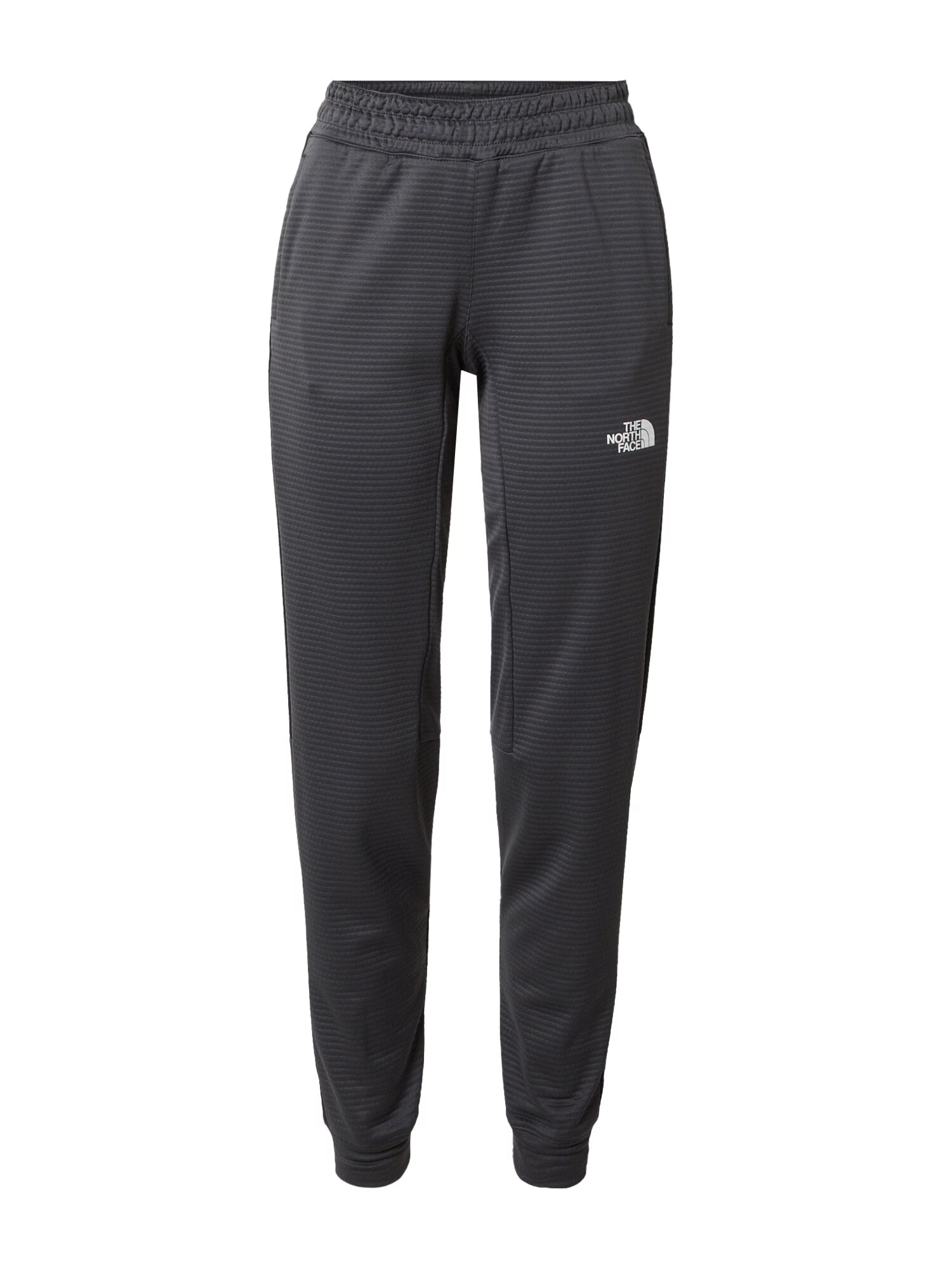 THE NORTH FACE Pantaloni outdoor gri / negru / alb - Pled.ro