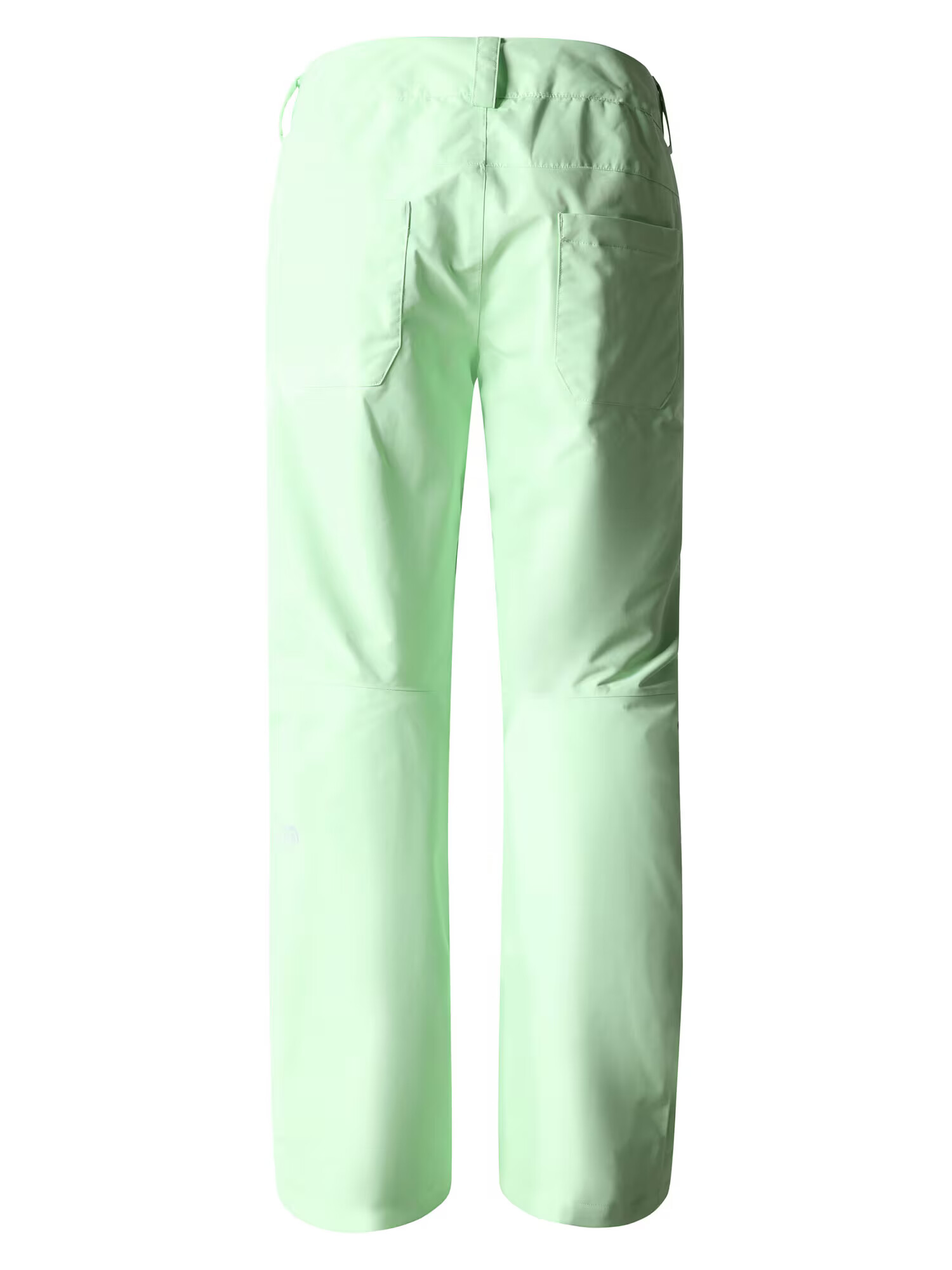 THE NORTH FACE Pantaloni outdoor verde mentă / negru / alb - Pled.ro