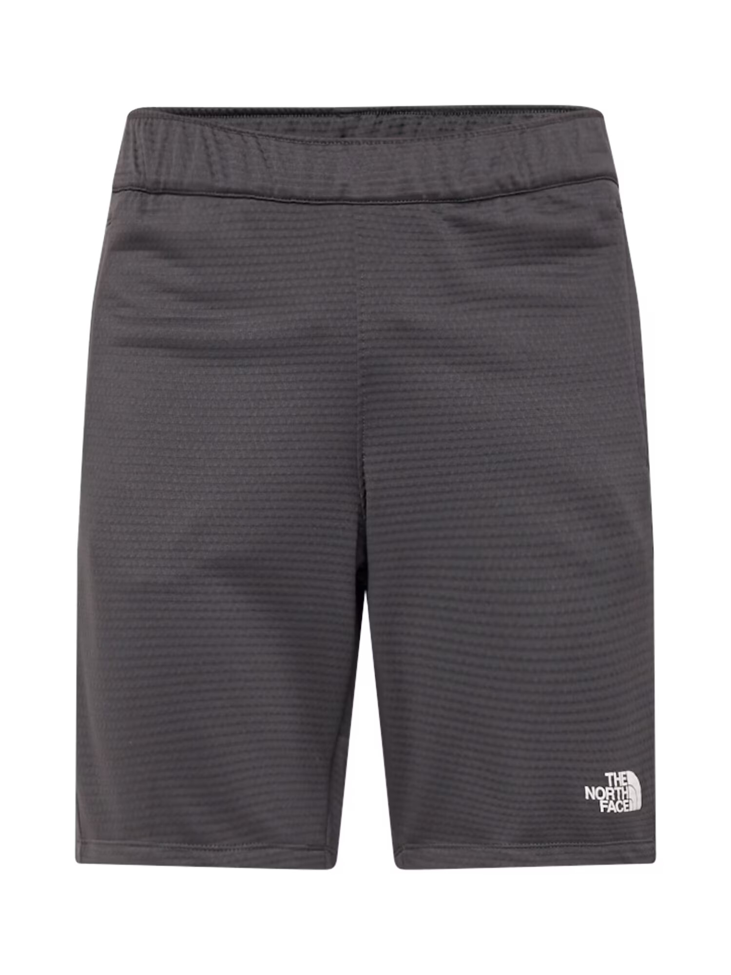 THE NORTH FACE Pantaloni sport gri metalic / negru / alb - Pled.ro