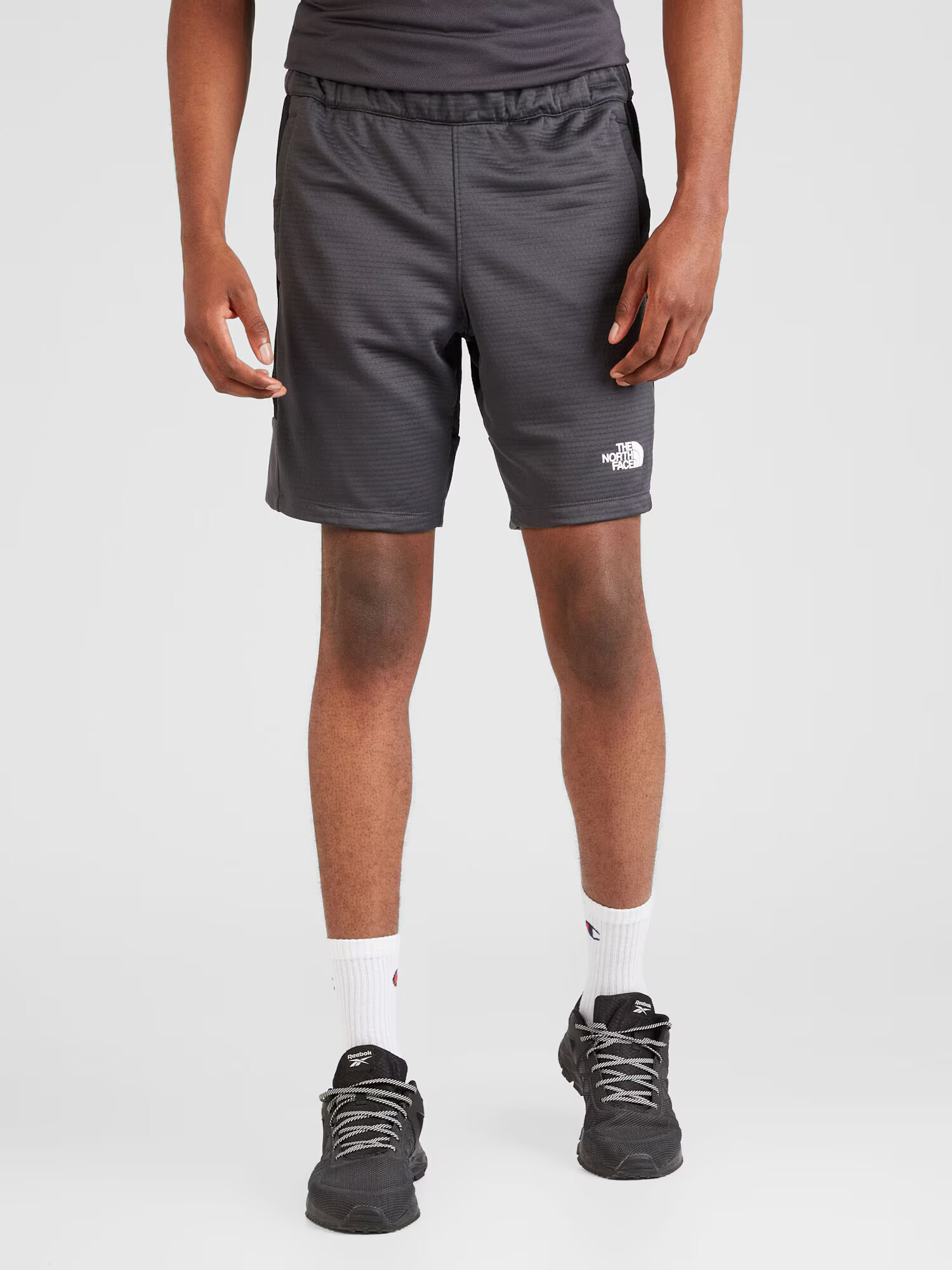 THE NORTH FACE Pantaloni sport gri metalic / negru / alb - Pled.ro