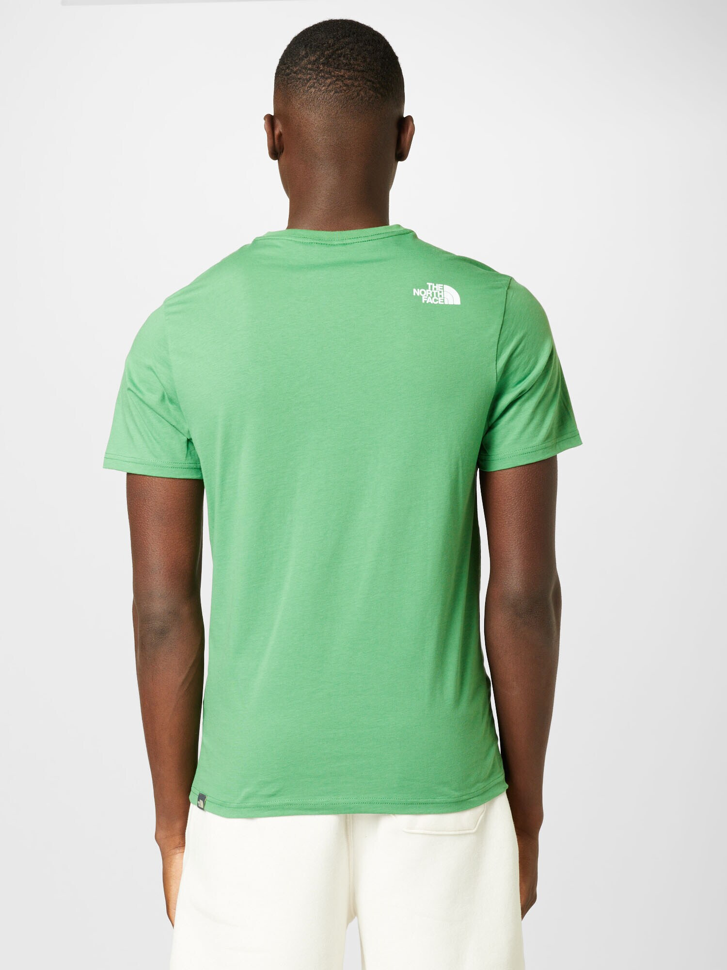 THE NORTH FACE Tricou 'Easy' verde iarbă / alb - Pled.ro