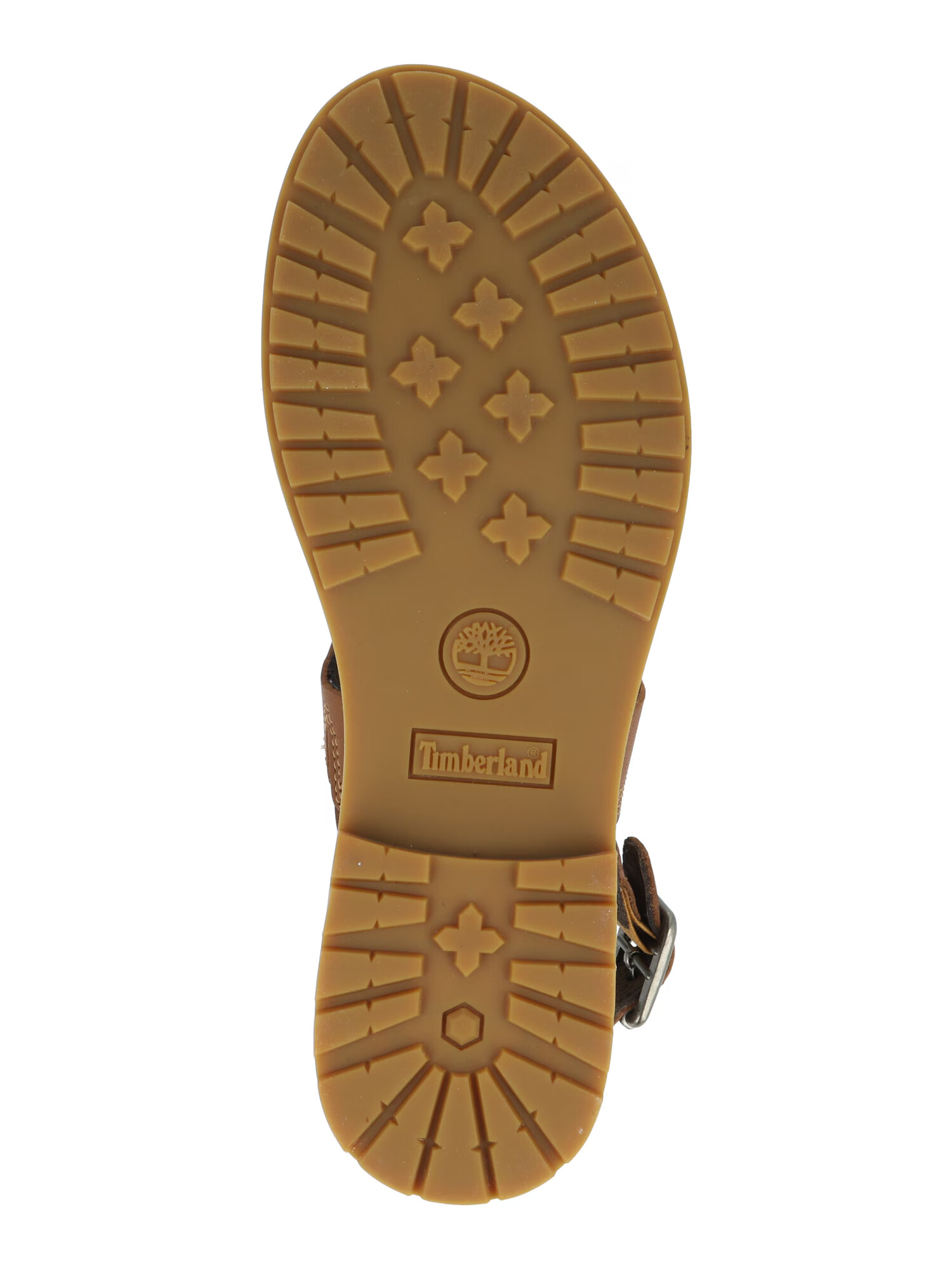 TIMBERLAND Flip-flops 'Chicago Riverside' maro - Pled.ro