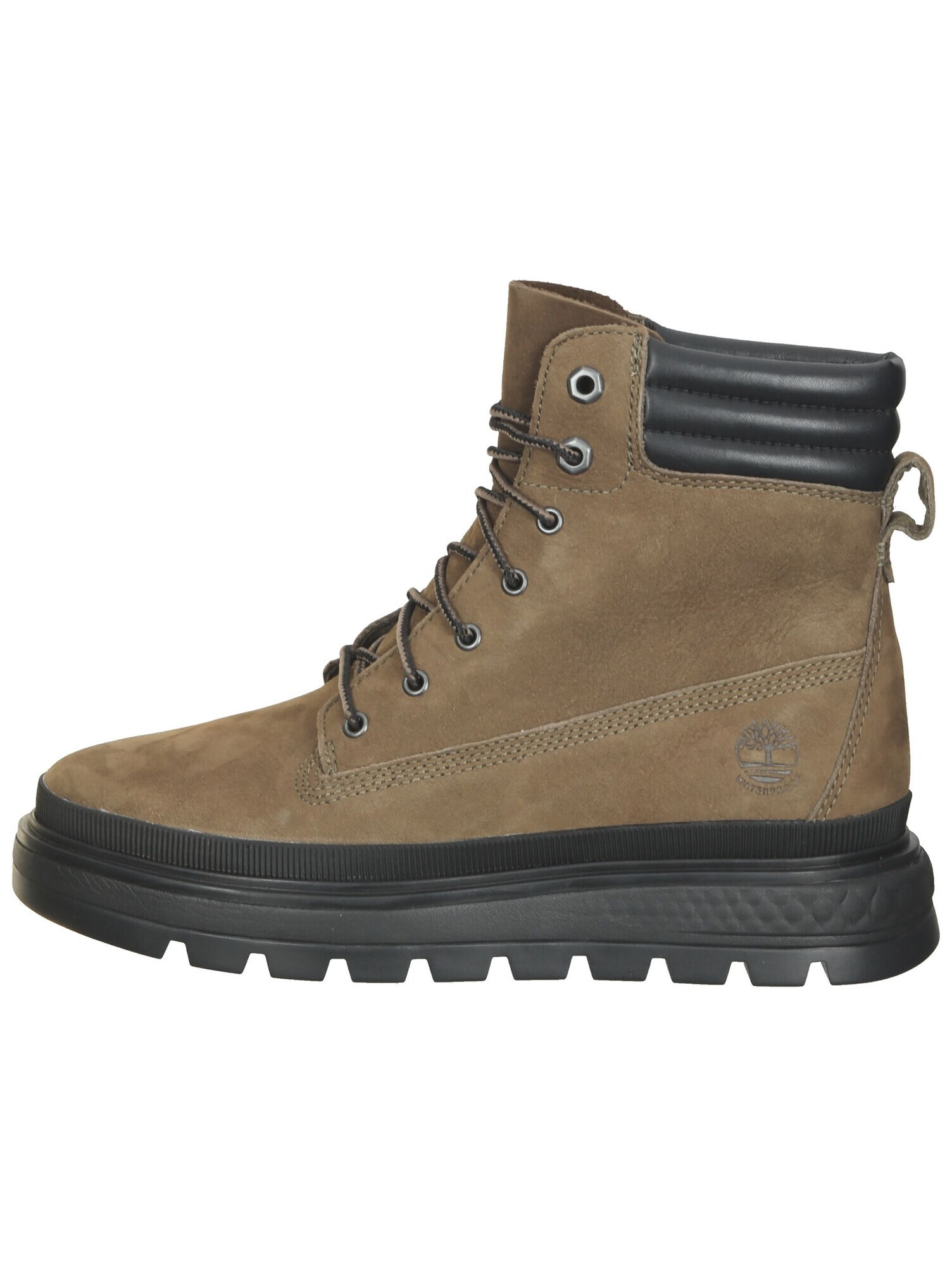 TIMBERLAND Ghete cu șireturi 'Ray City 6' oliv - Pled.ro