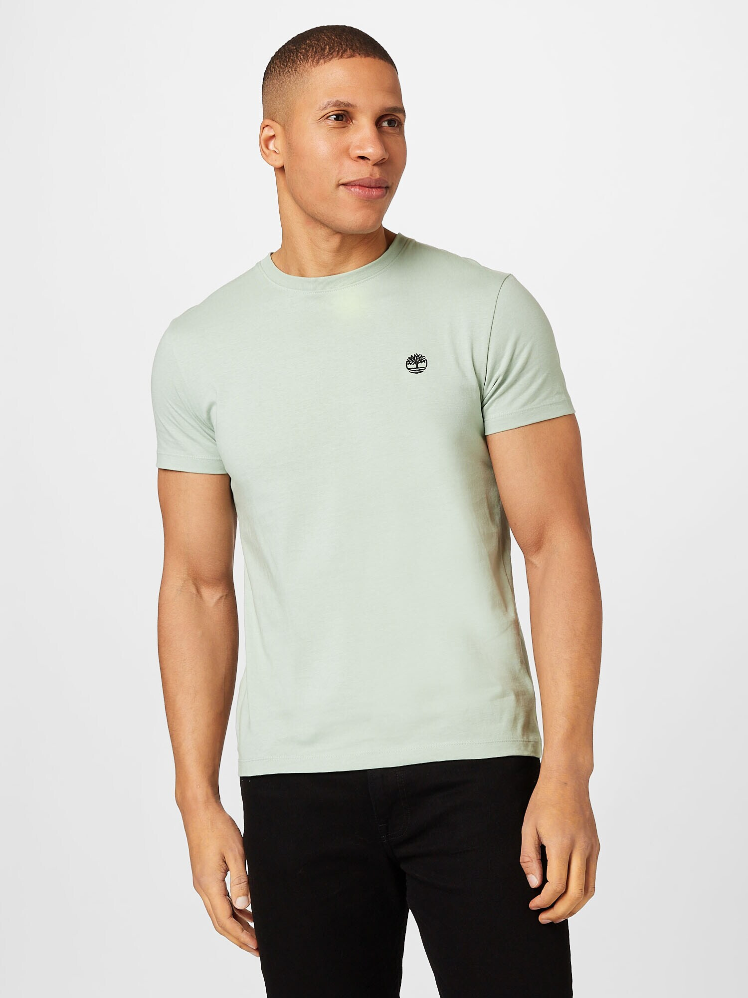 TIMBERLAND Tricou 'Dun-River' verde pastel / negru - Pled.ro