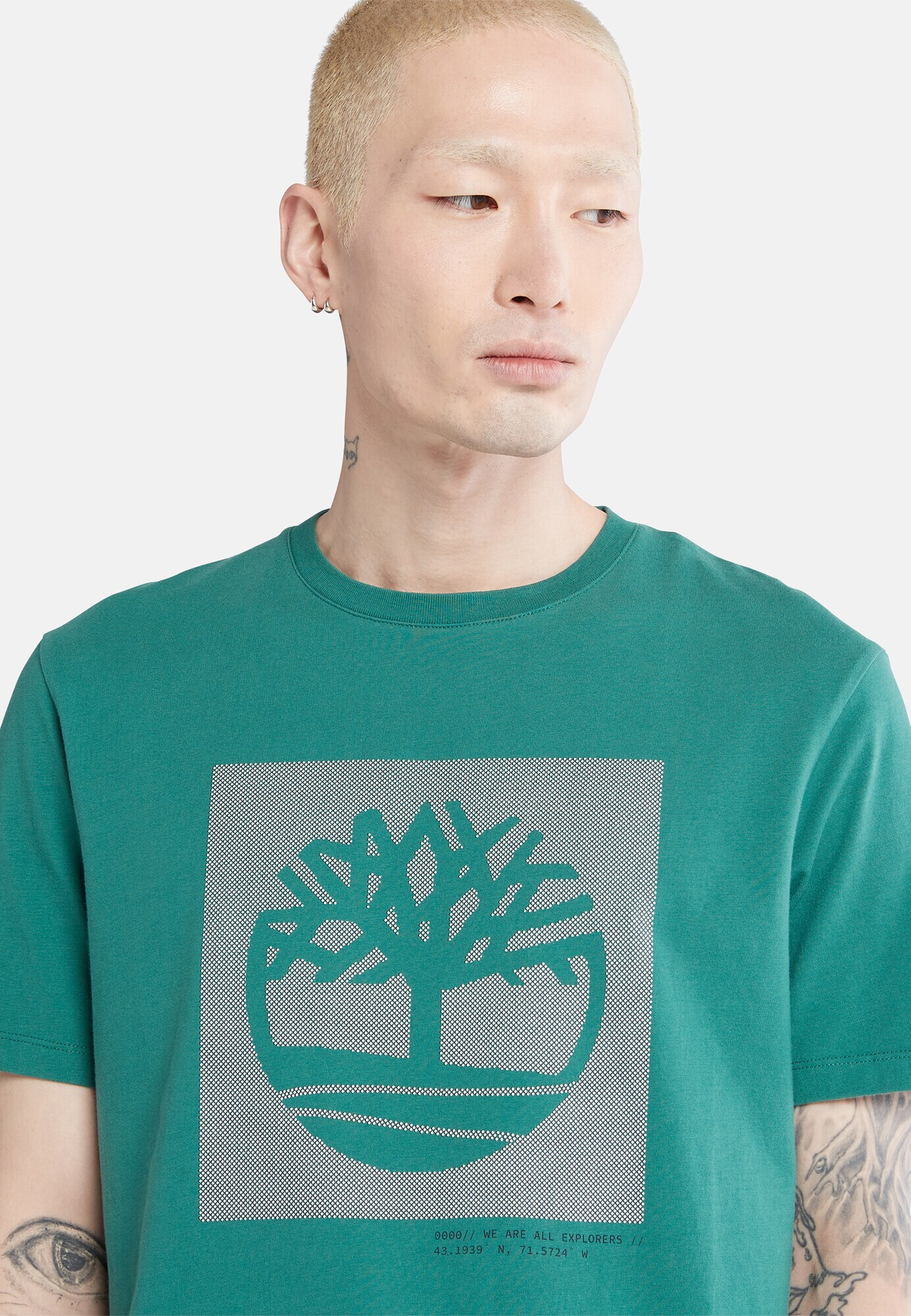 TIMBERLAND Tricou gri deschis / verde jad - Pled.ro