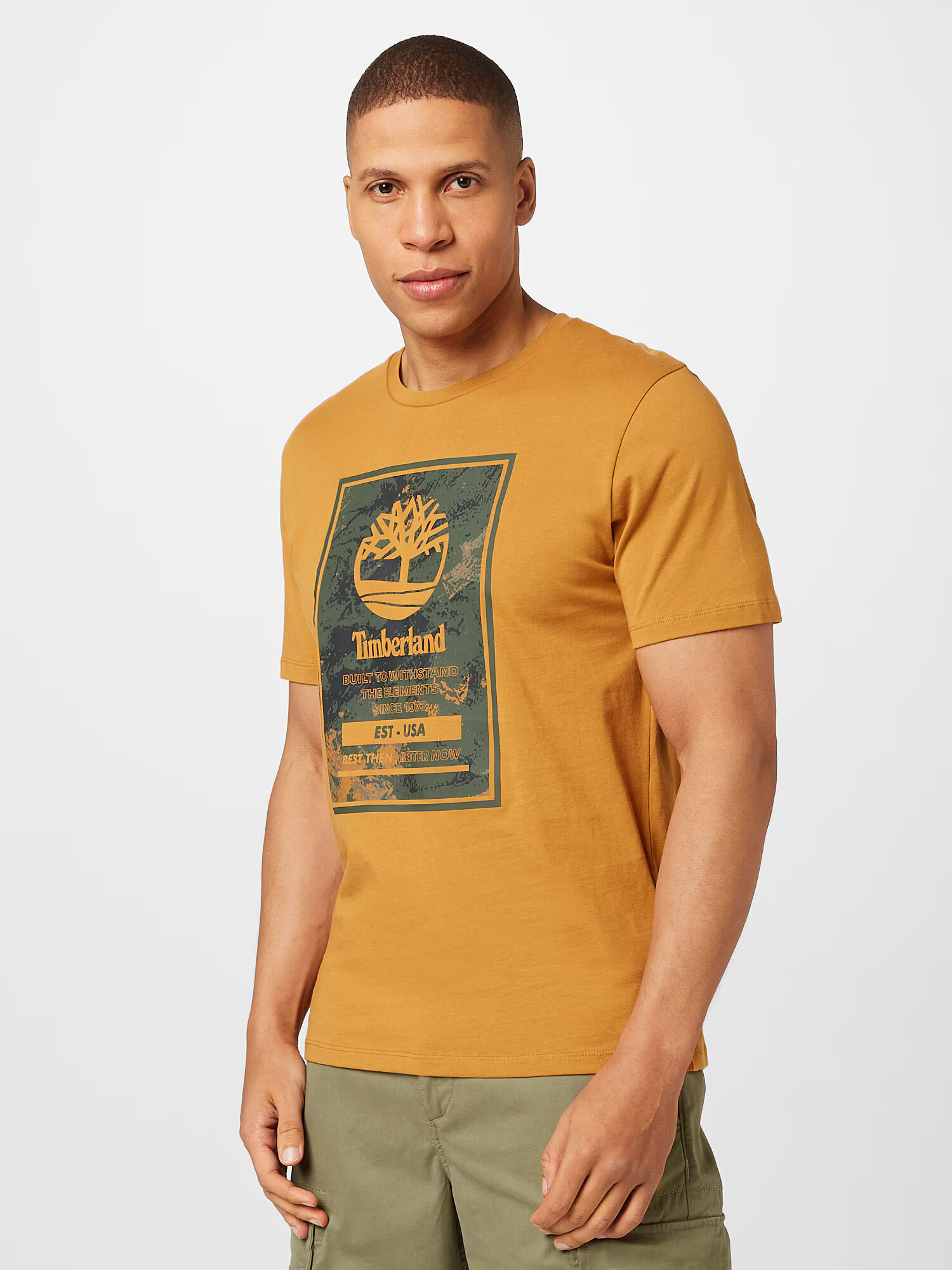 TIMBERLAND Tricou maro deschis / verde închis / negru - Pled.ro