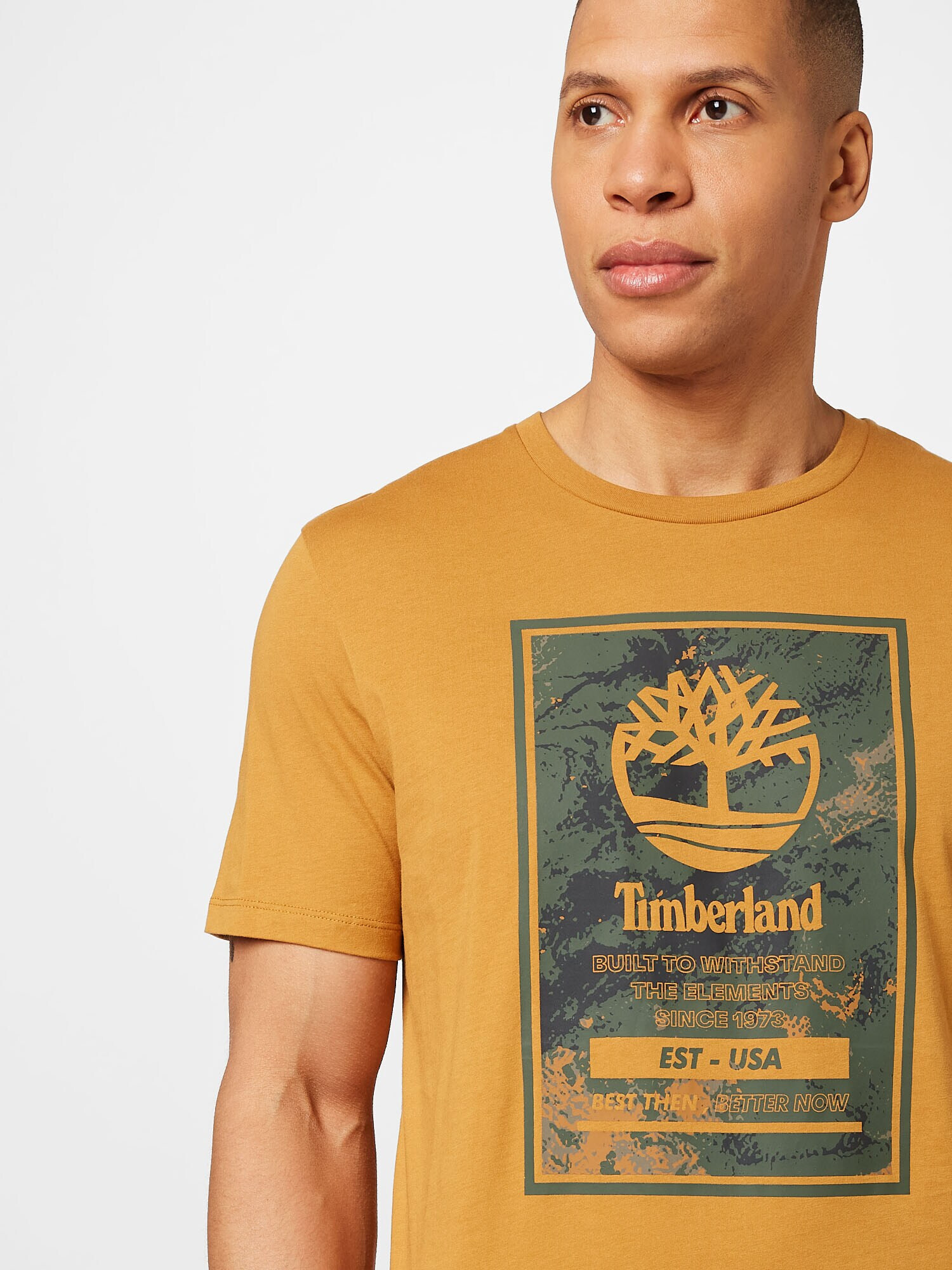 TIMBERLAND Tricou maro deschis / verde închis / negru - Pled.ro