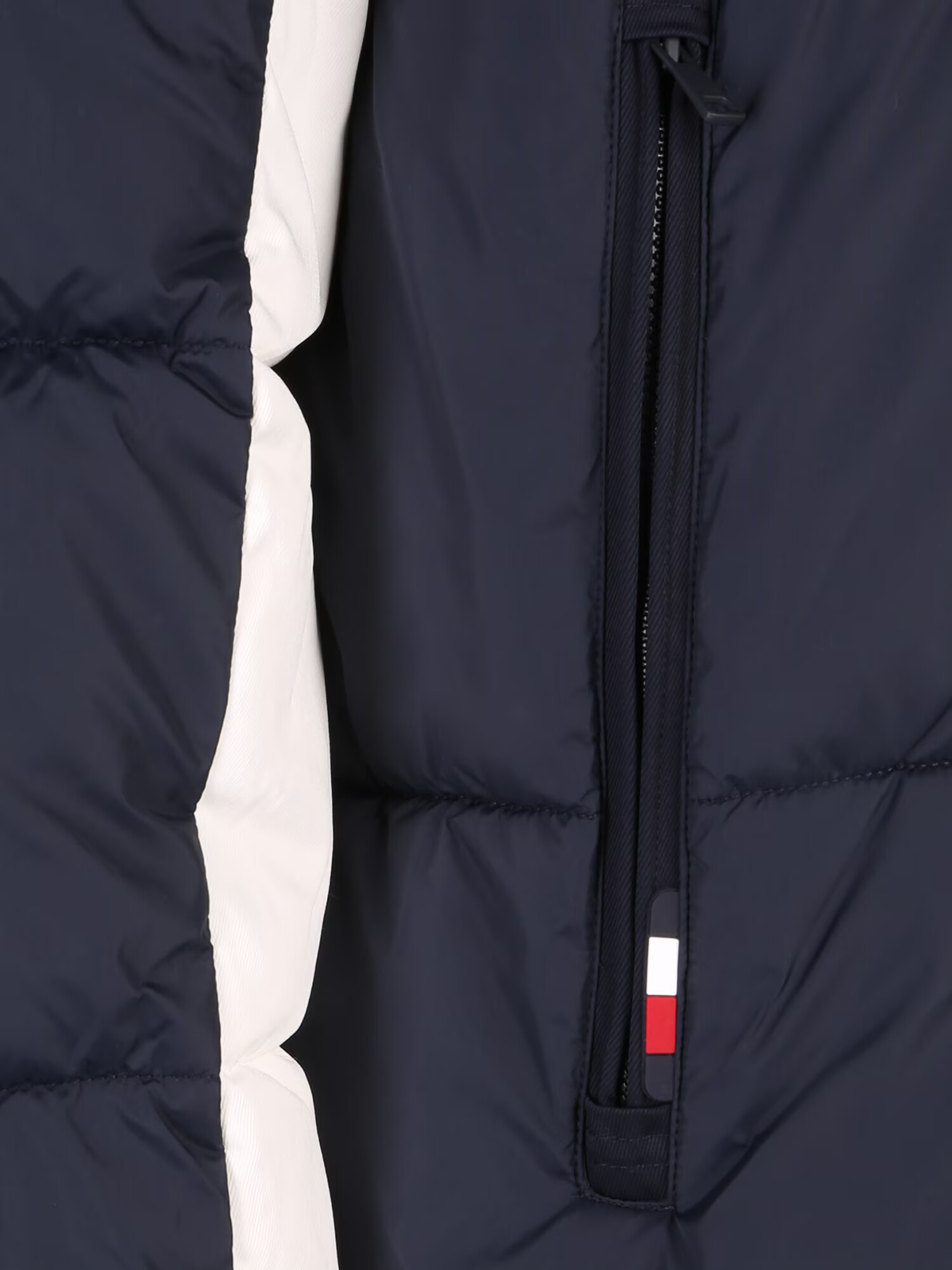 Tommy Hilfiger Big & Tall Geacă de iarnă 'New York' bleumarin / roșu / alb - Pled.ro