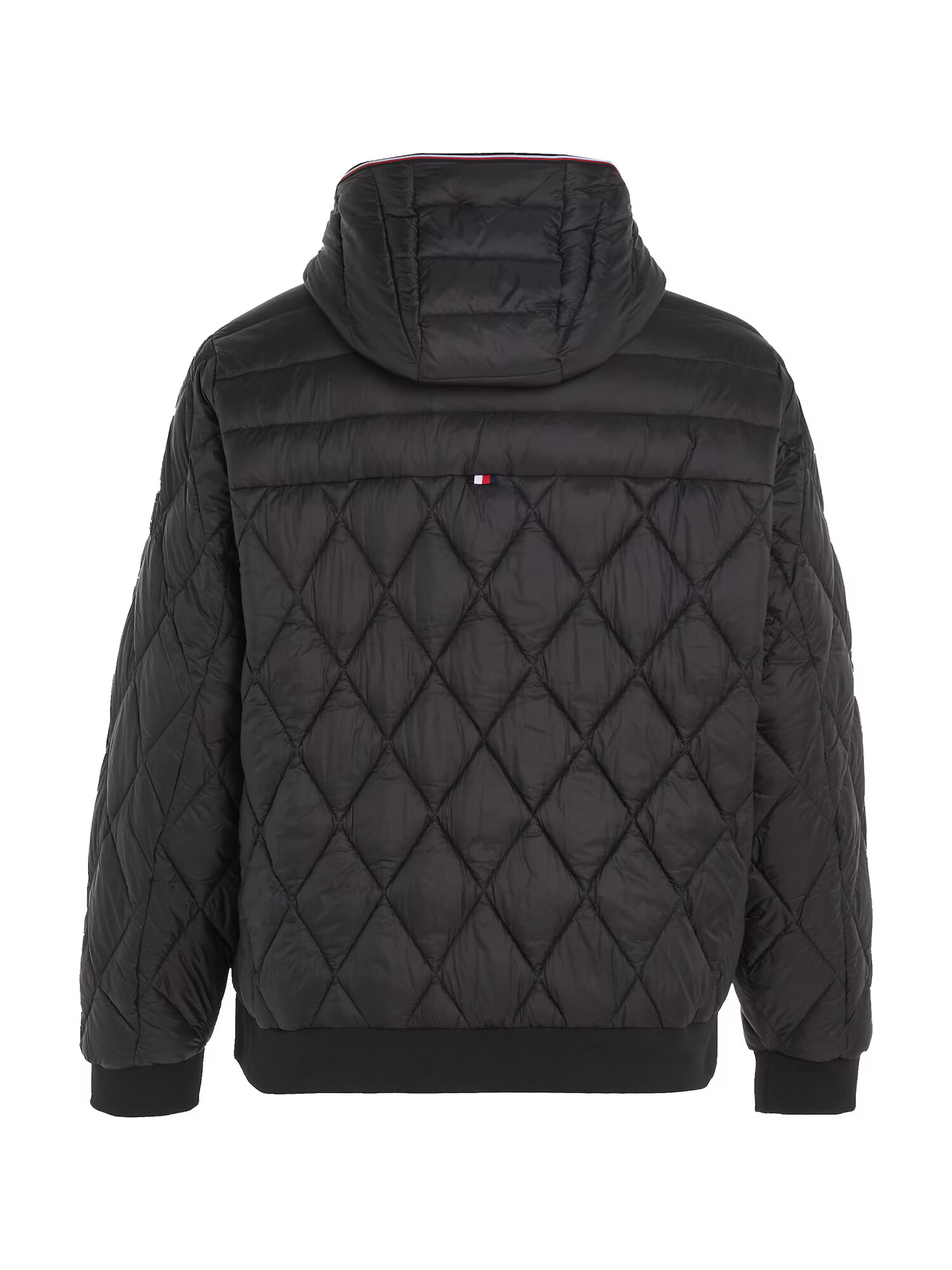 Tommy Hilfiger Big & Tall Geacă de iarnă roșu / negru / alb - Pled.ro