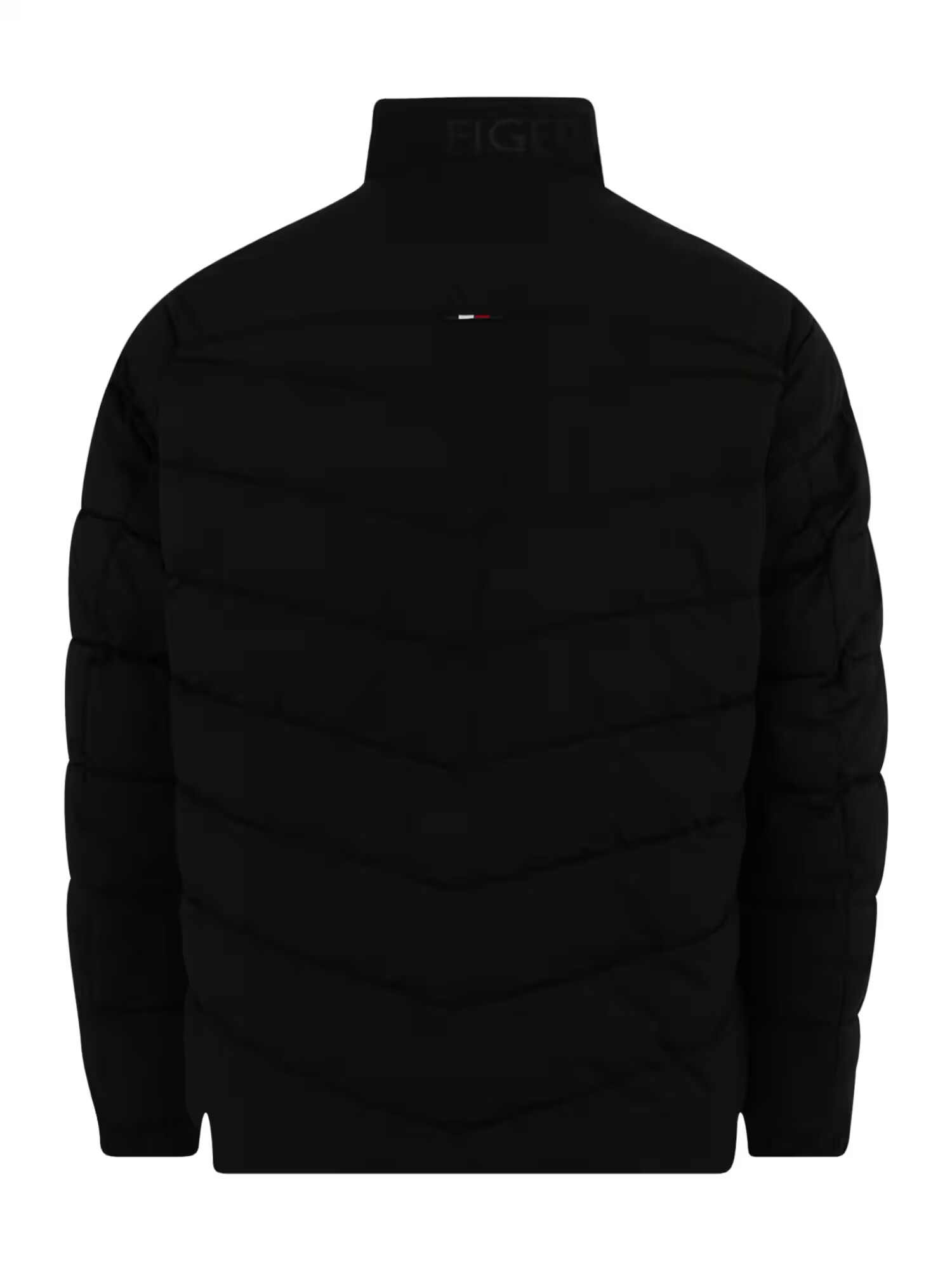 Tommy Hilfiger Big & Tall Geacă de primăvară-toamnă negru - Pled.ro