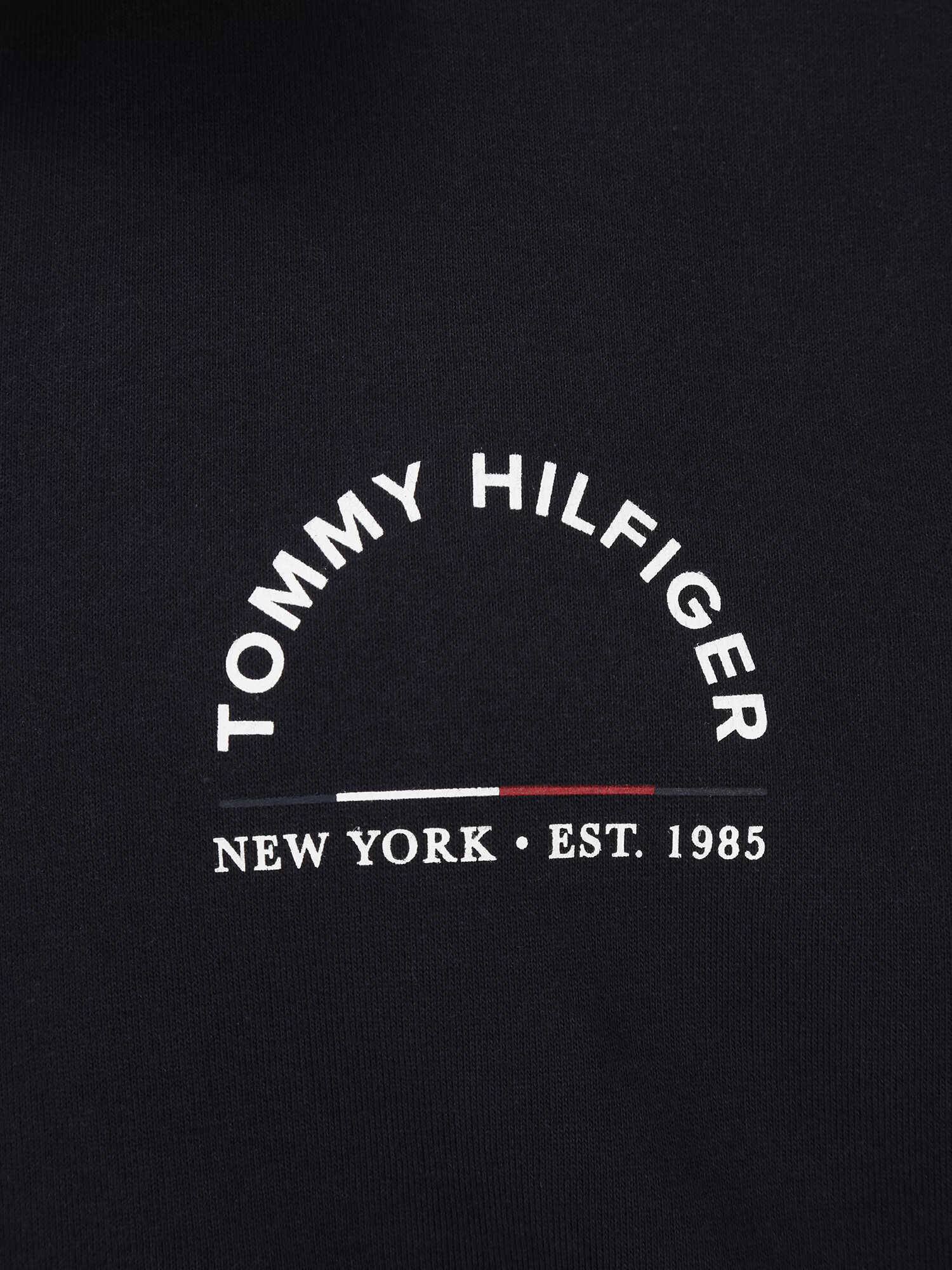 Tommy Hilfiger Big & Tall Hanorac bleumarin / roșu / alb - Pled.ro