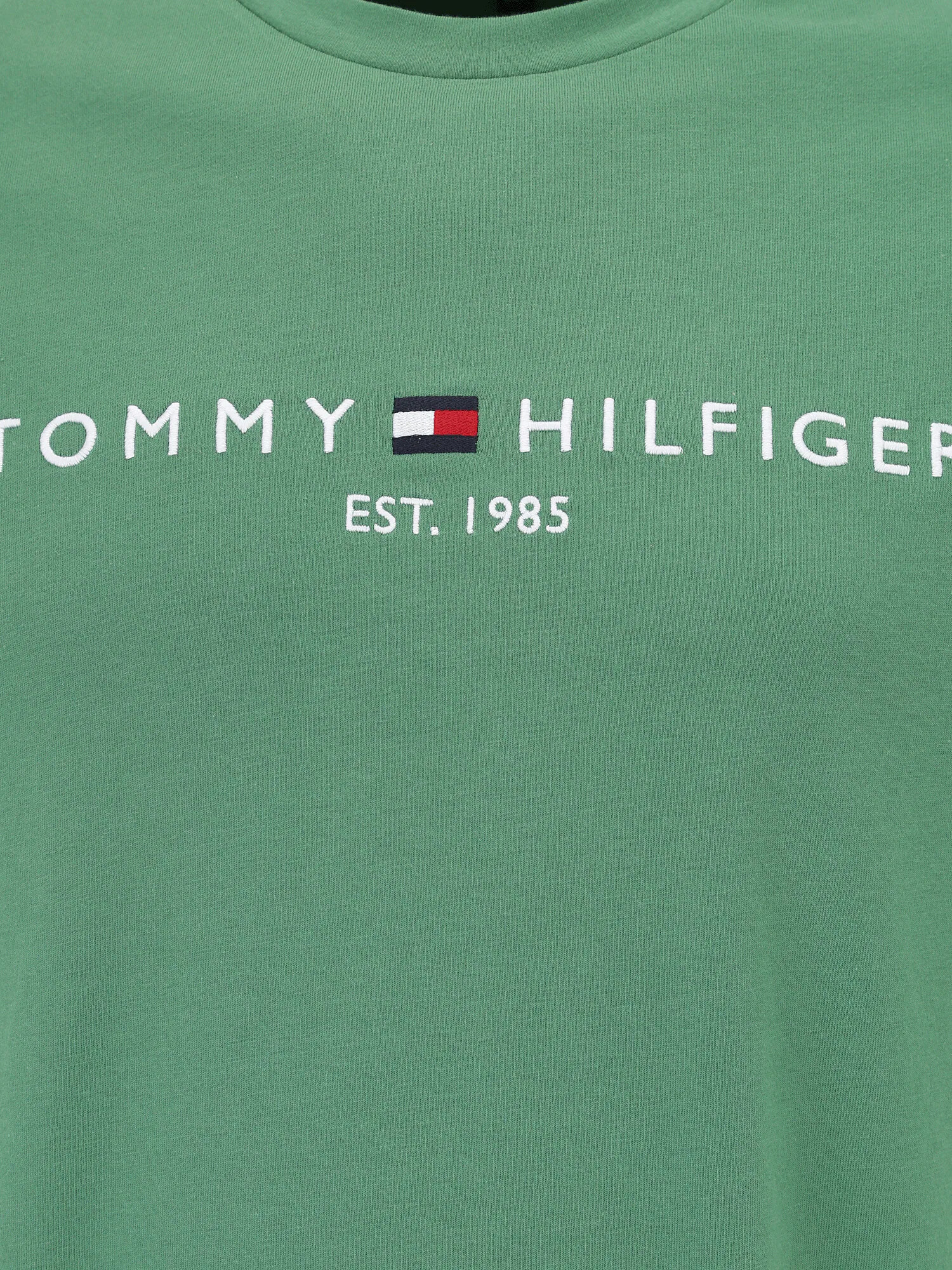 Tommy Hilfiger Big & Tall Tricou albastru închis / verde / roșu / alb - Pled.ro