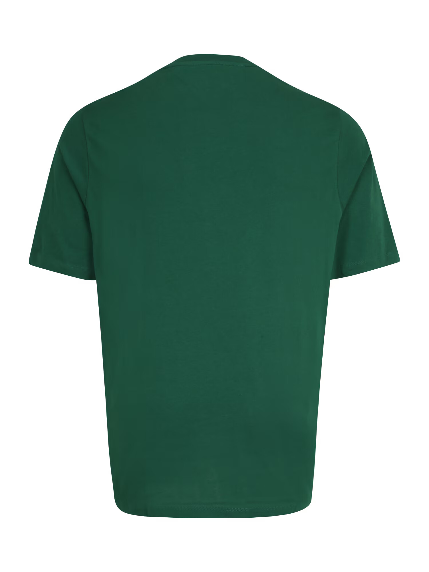 Tommy Hilfiger Big & Tall Tricou albastru marin / verde închis / roșu / alb - Pled.ro