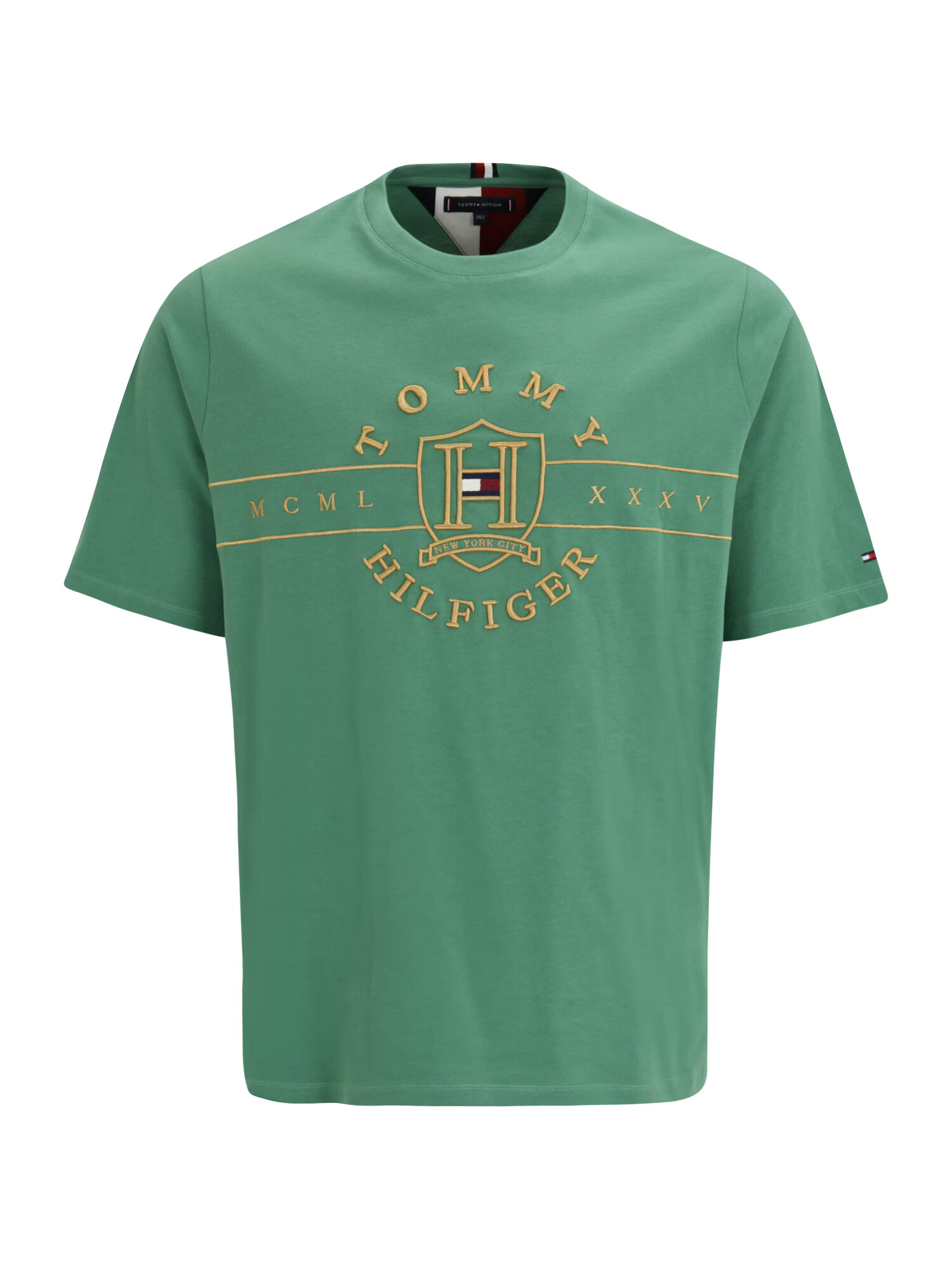 Tommy Hilfiger Big & Tall Tricou auriu / verde jad / roșu / alb - Pled.ro