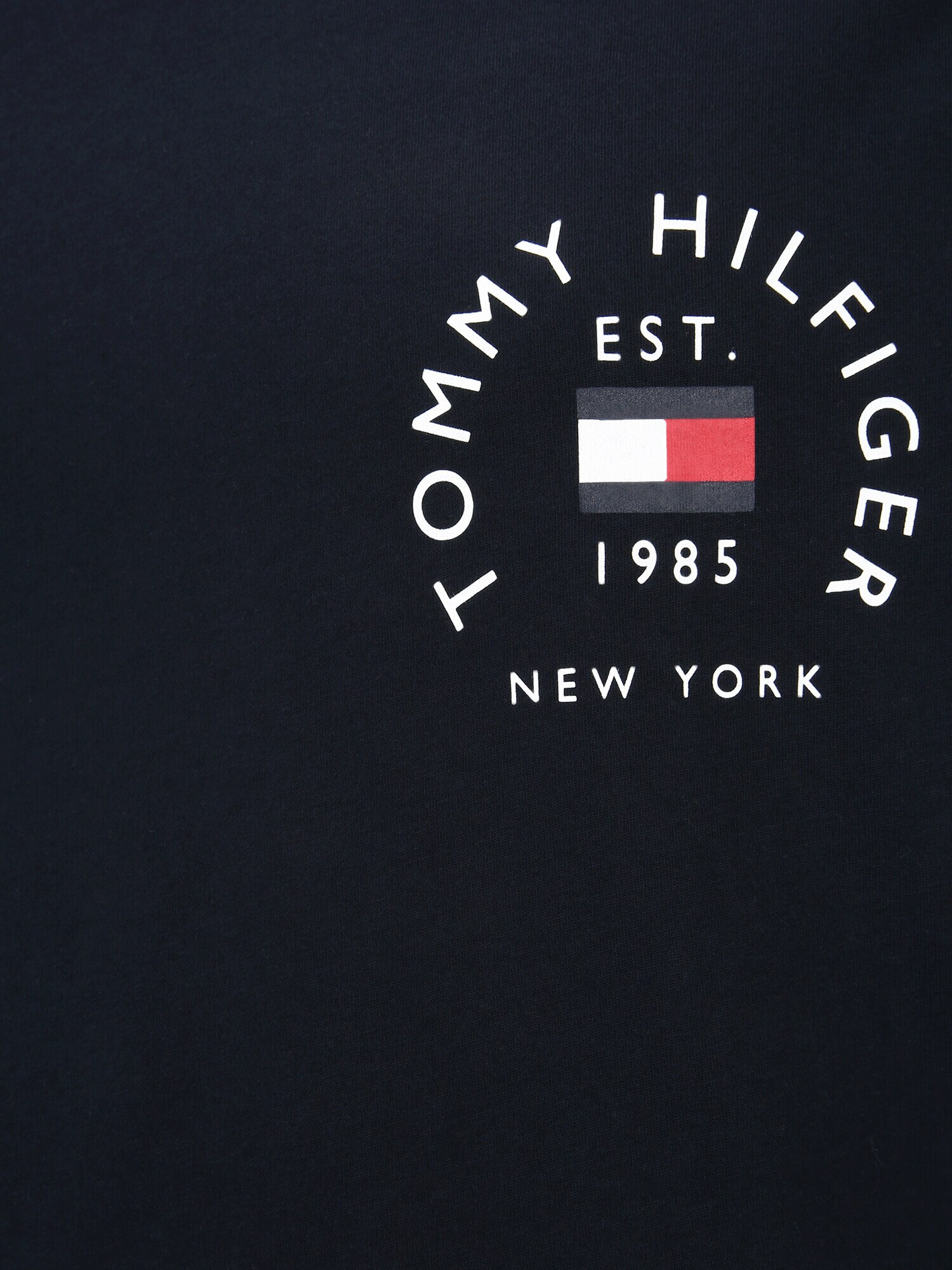 Tommy Hilfiger Big & Tall Tricou bleumarin / roșu / alb - Pled.ro