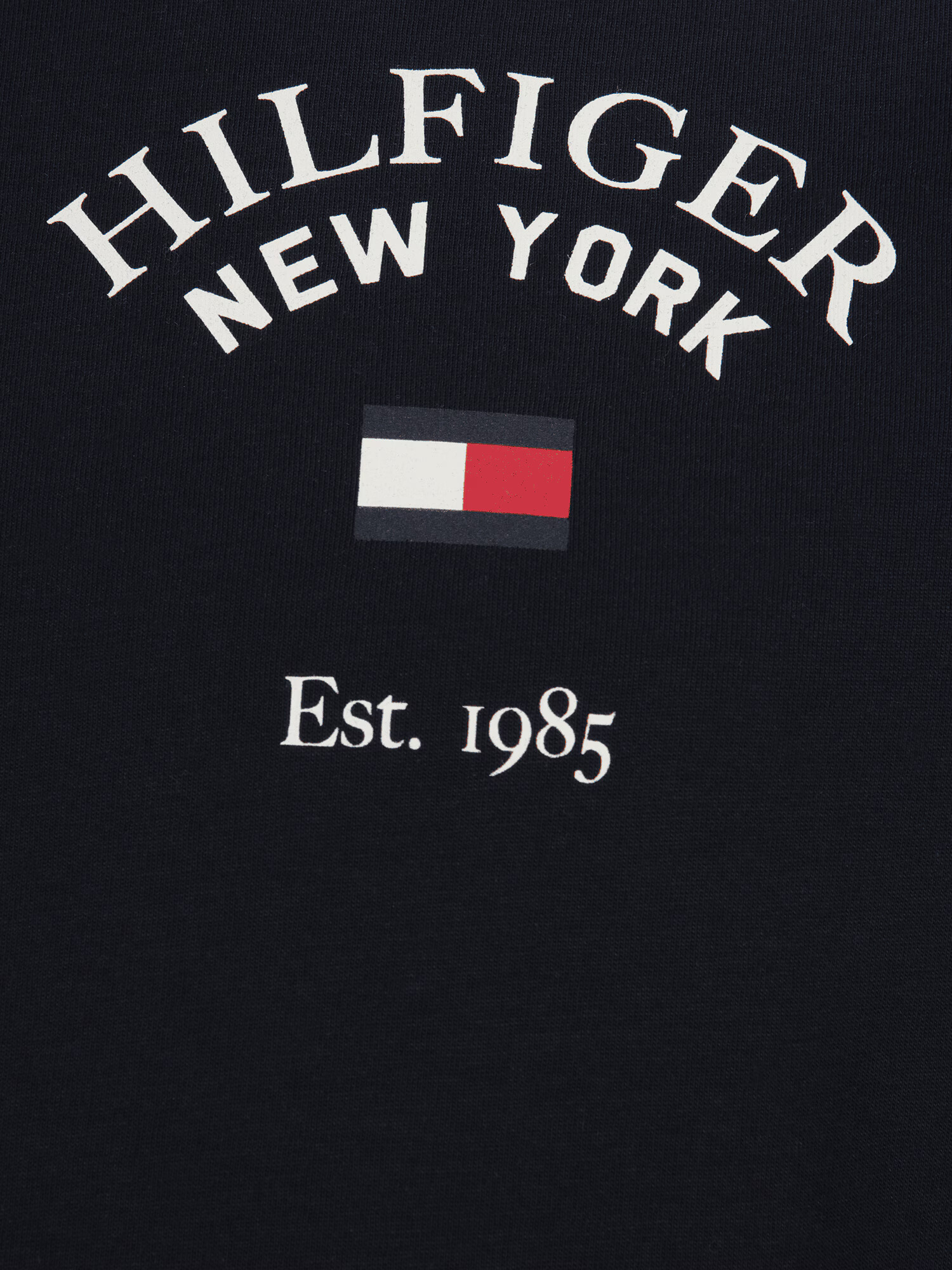 Tommy Hilfiger Big & Tall Tricou 'VARSITY' alb - Pled.ro