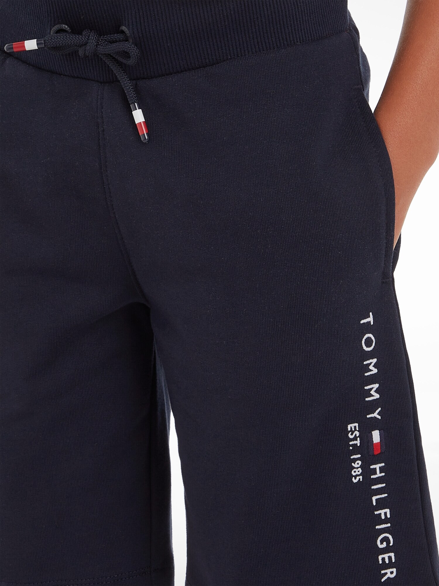 TOMMY HILFIGER Pantaloni albastru marin / roșu / alb - Pled.ro