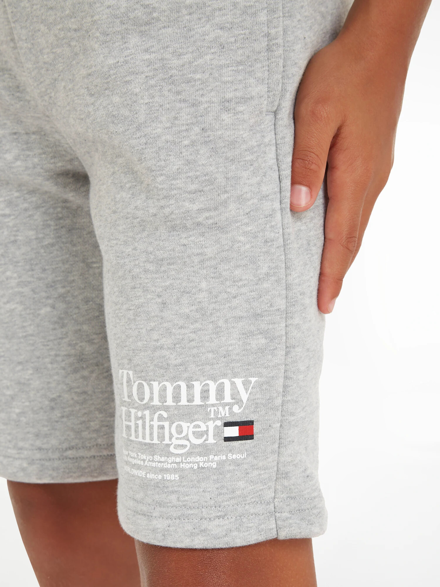 TOMMY HILFIGER Pantaloni 'TIMELESS' albastru marin / gri amestecat / roșu / alb - Pled.ro