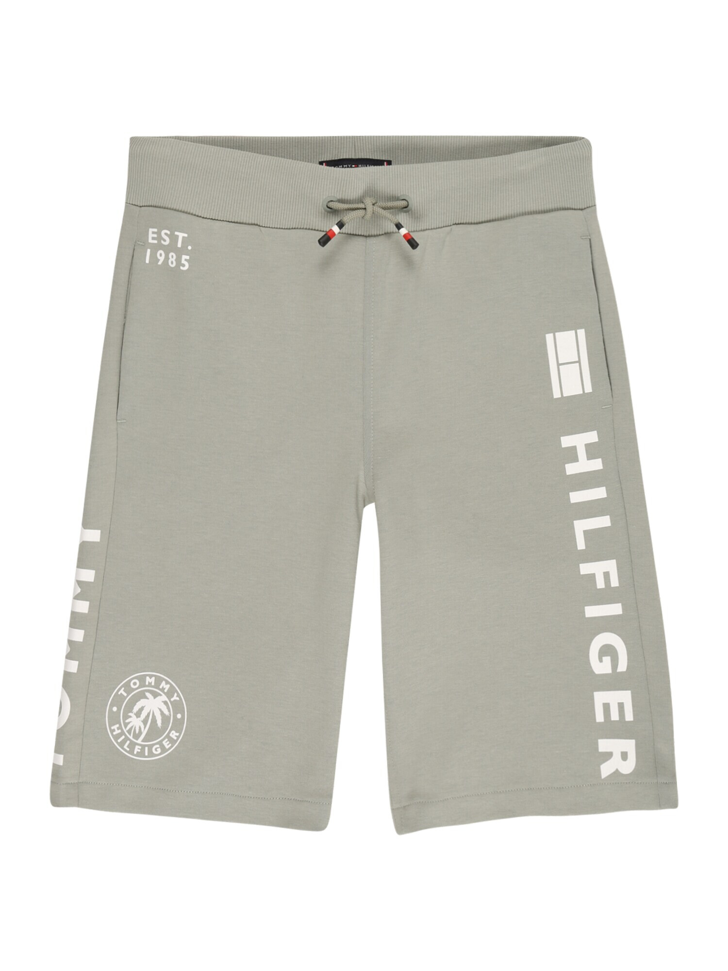 TOMMY HILFIGER Pantaloni verde pastel / alb - Pled.ro