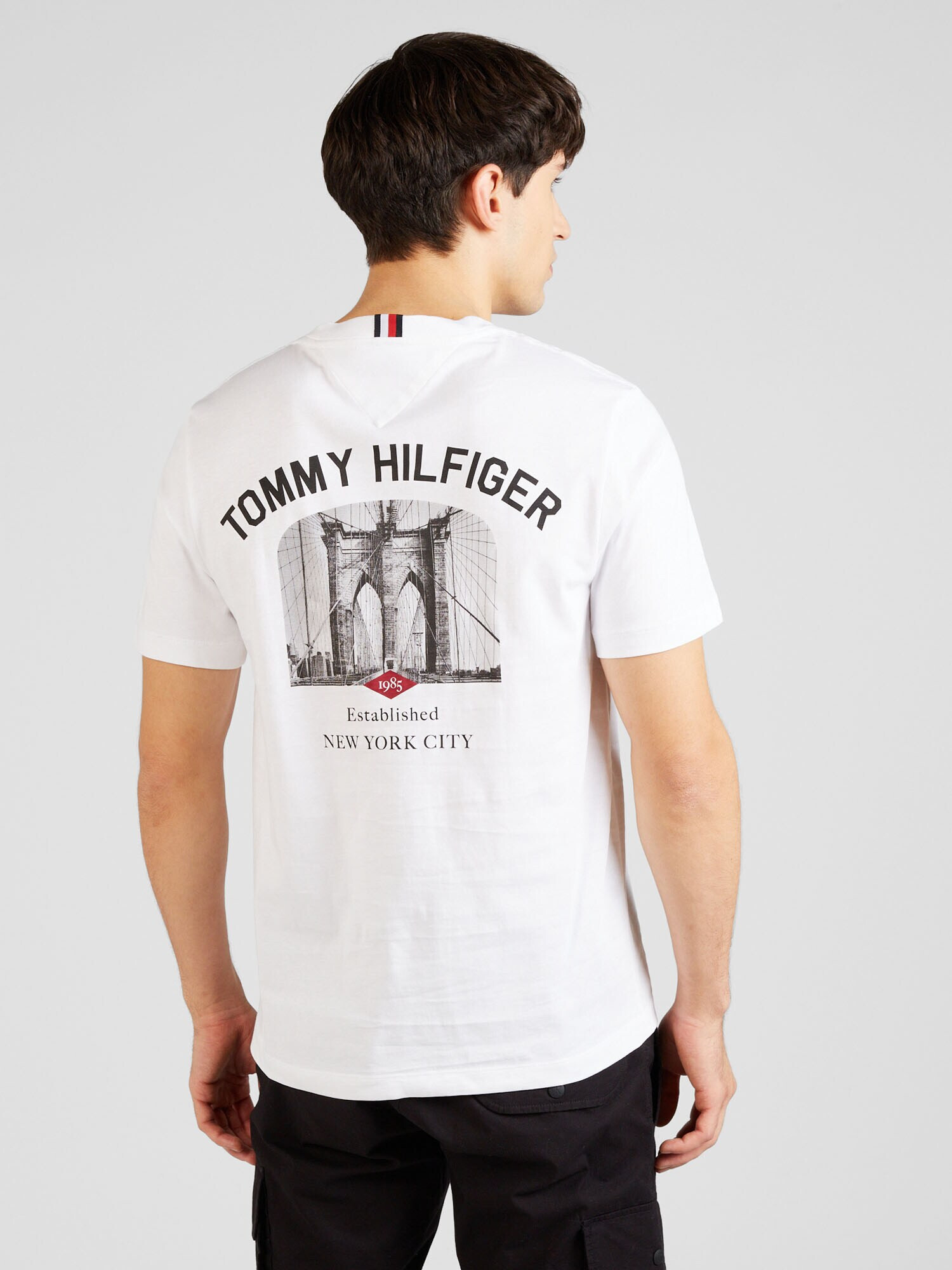 TOMMY HILFIGER Tricou gri / roșu / negru / alb - Pled.ro