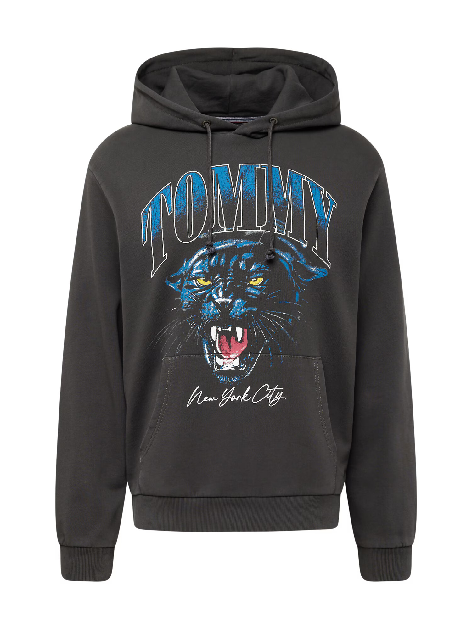 Tommy Jeans Bluză de molton 'PANTHER' albastru / gri metalic / roz pitaya / alb - Pled.ro