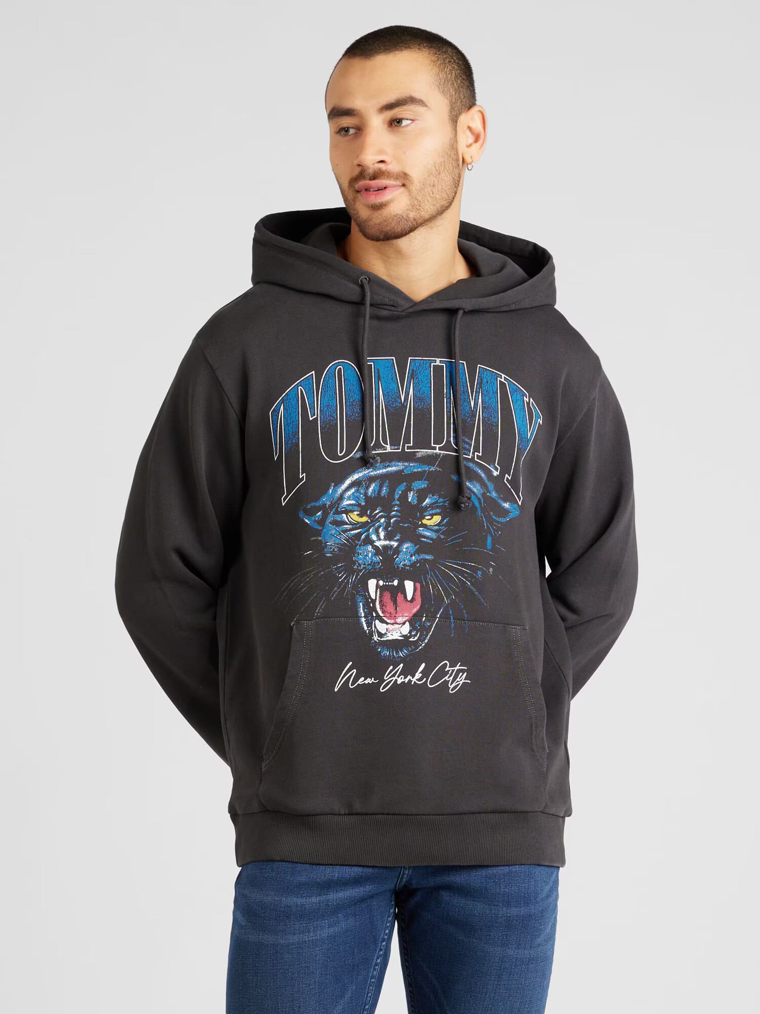 Tommy Jeans Bluză de molton 'PANTHER' albastru / gri metalic / roz pitaya / alb - Pled.ro