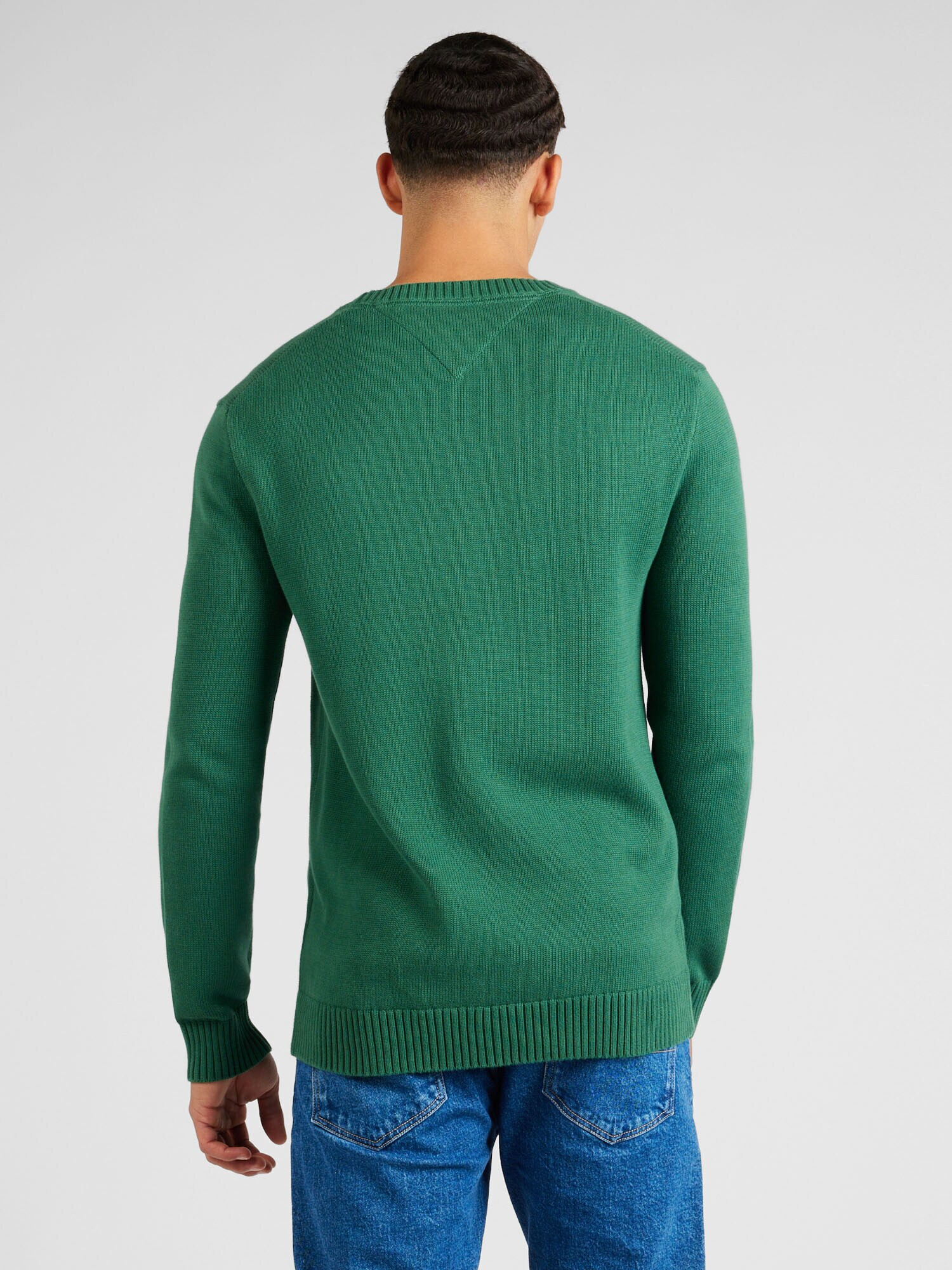 Tommy Jeans Pulover 'ESSENTIALS' bleumarin / verde / roșu / alb - Pled.ro