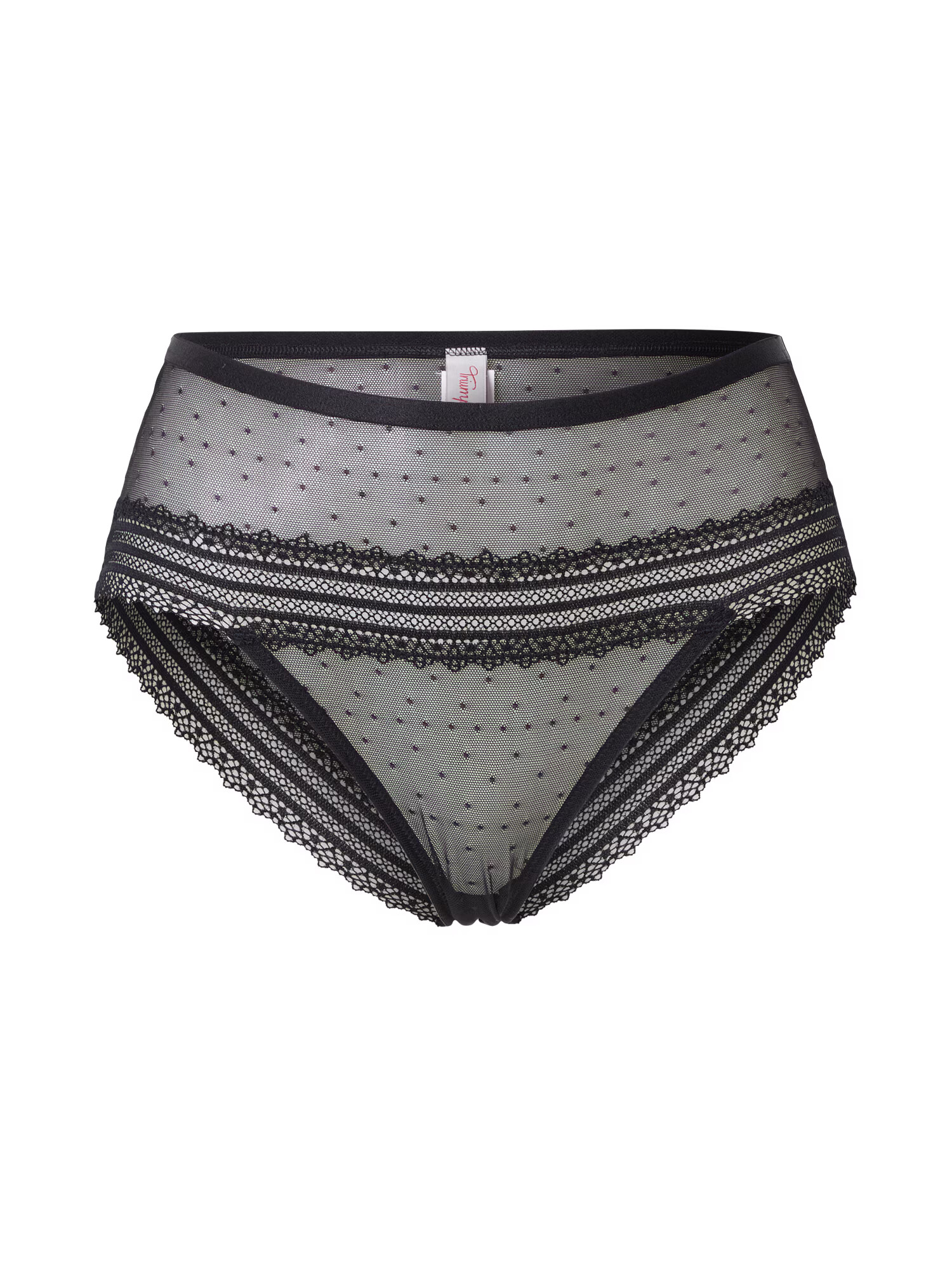 TRIUMPH Slip 'Tempting Tulle_01' negru - Pled.ro