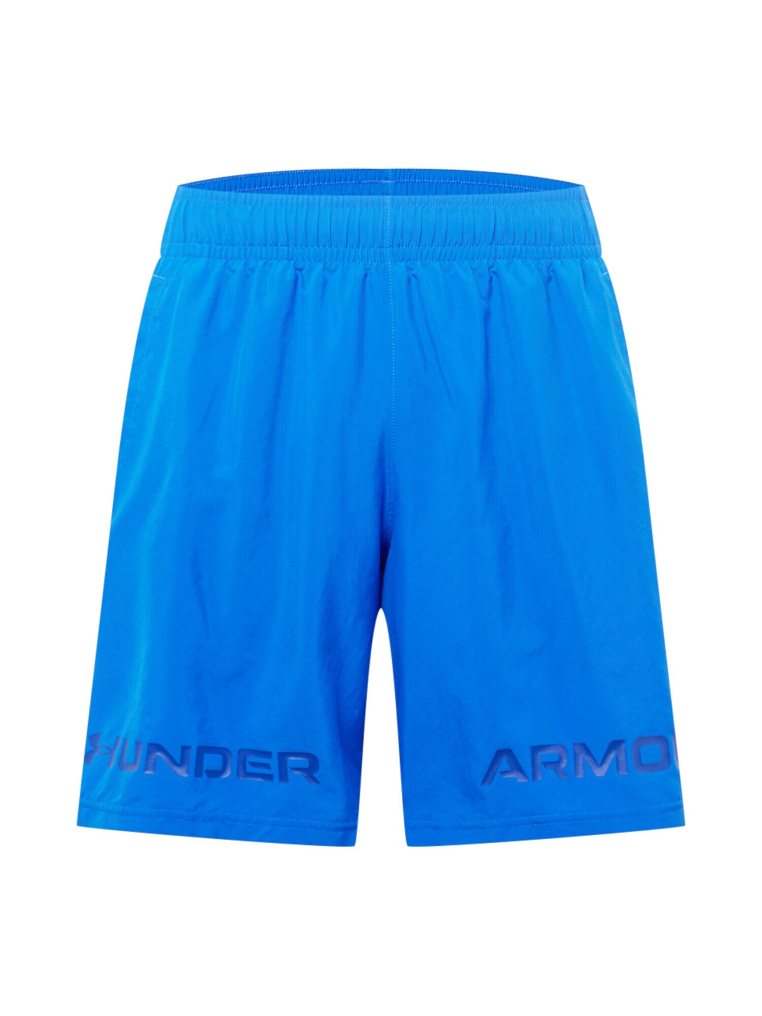 UNDER ARMOUR Pantaloni sport albastru / bleumarin - Pled.ro