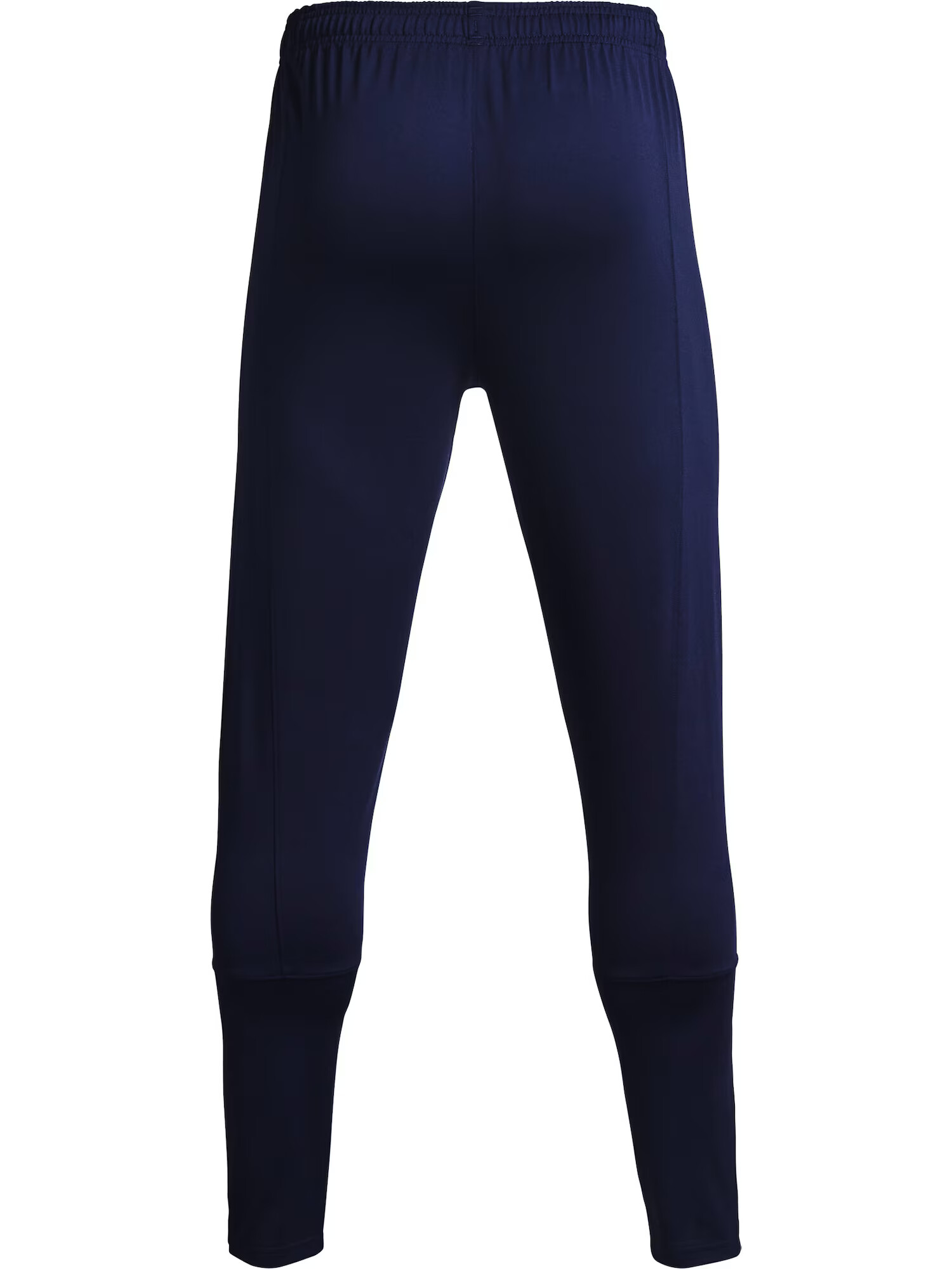 UNDER ARMOUR Pantaloni sport albastru închis - Pled.ro