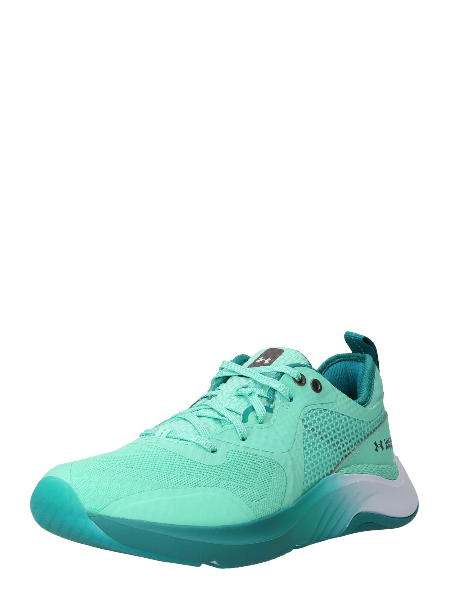 UNDER ARMOUR Pantofi sport 'Omnia Q1' gri / verde - Pled.ro