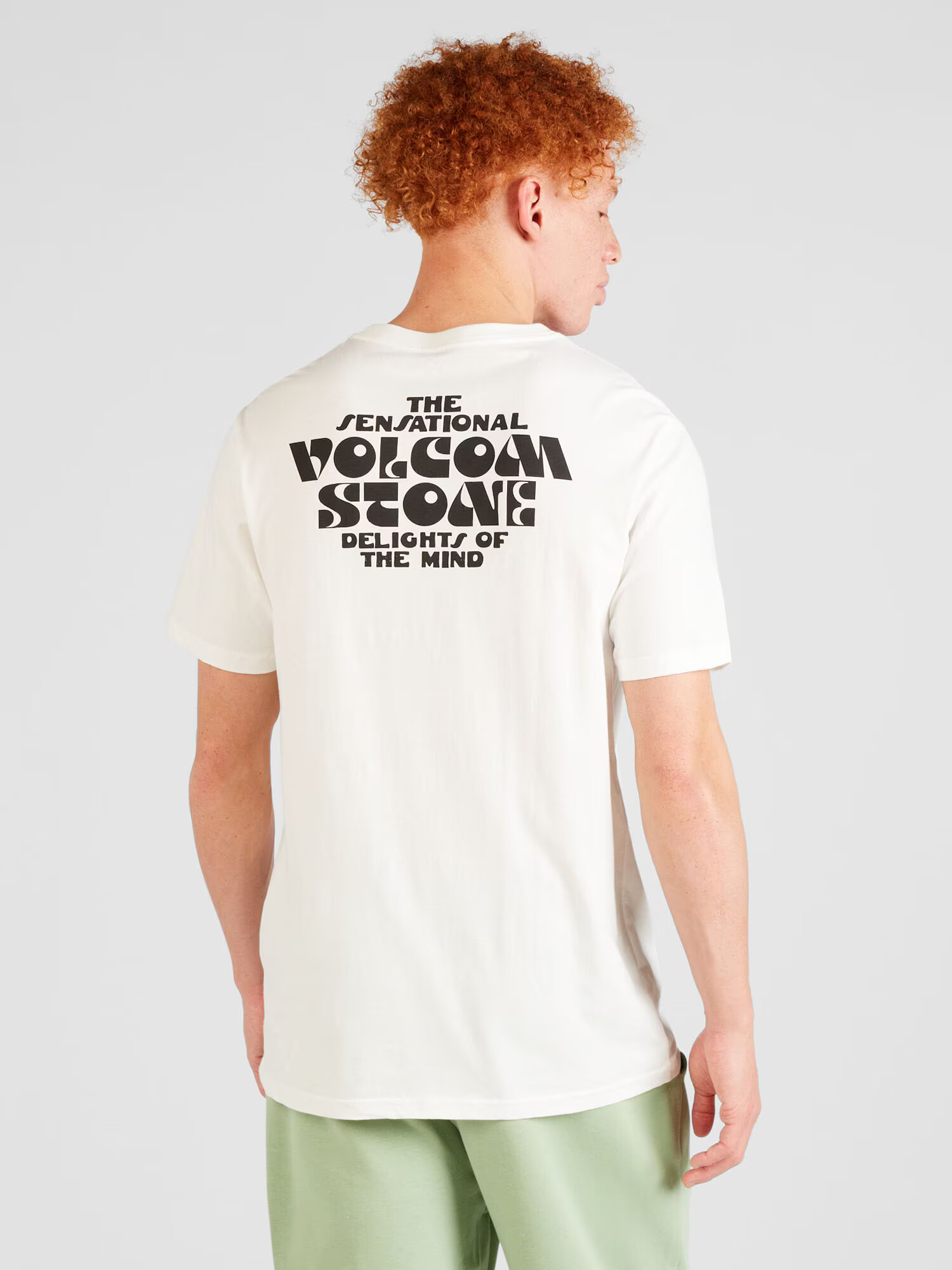 Volcom Tricou 'Delights Farm To Yarn' albastru / verde stuf / negru / alb - Pled.ro