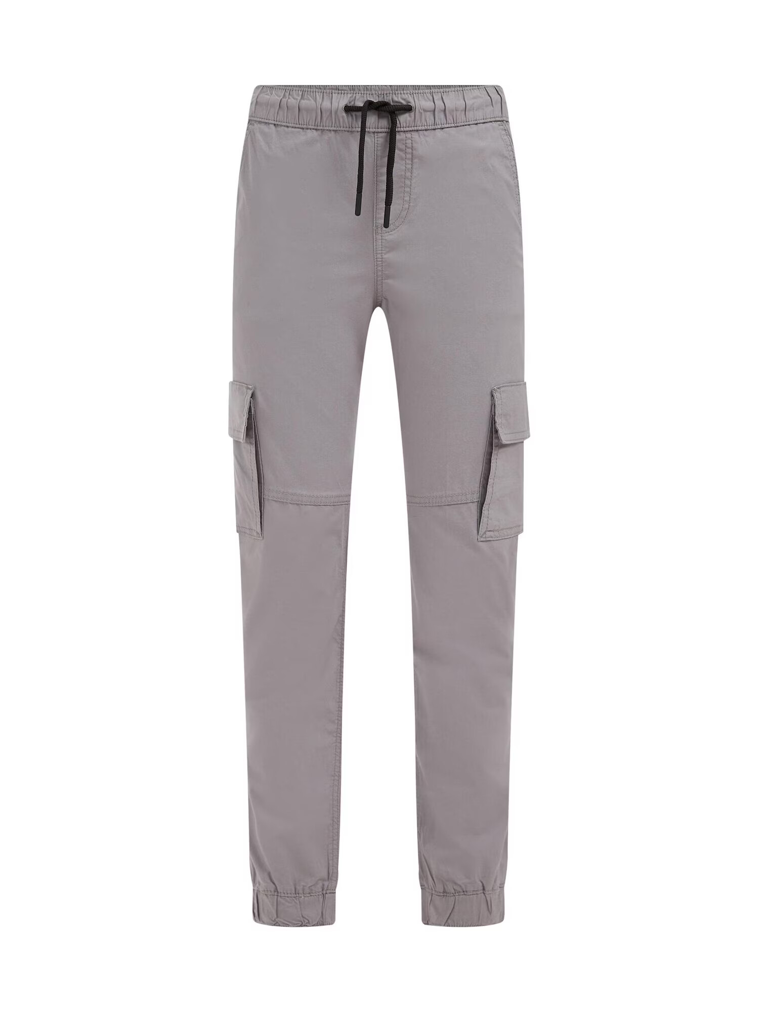 WE Fashion Pantaloni gri deschis - Pled.ro