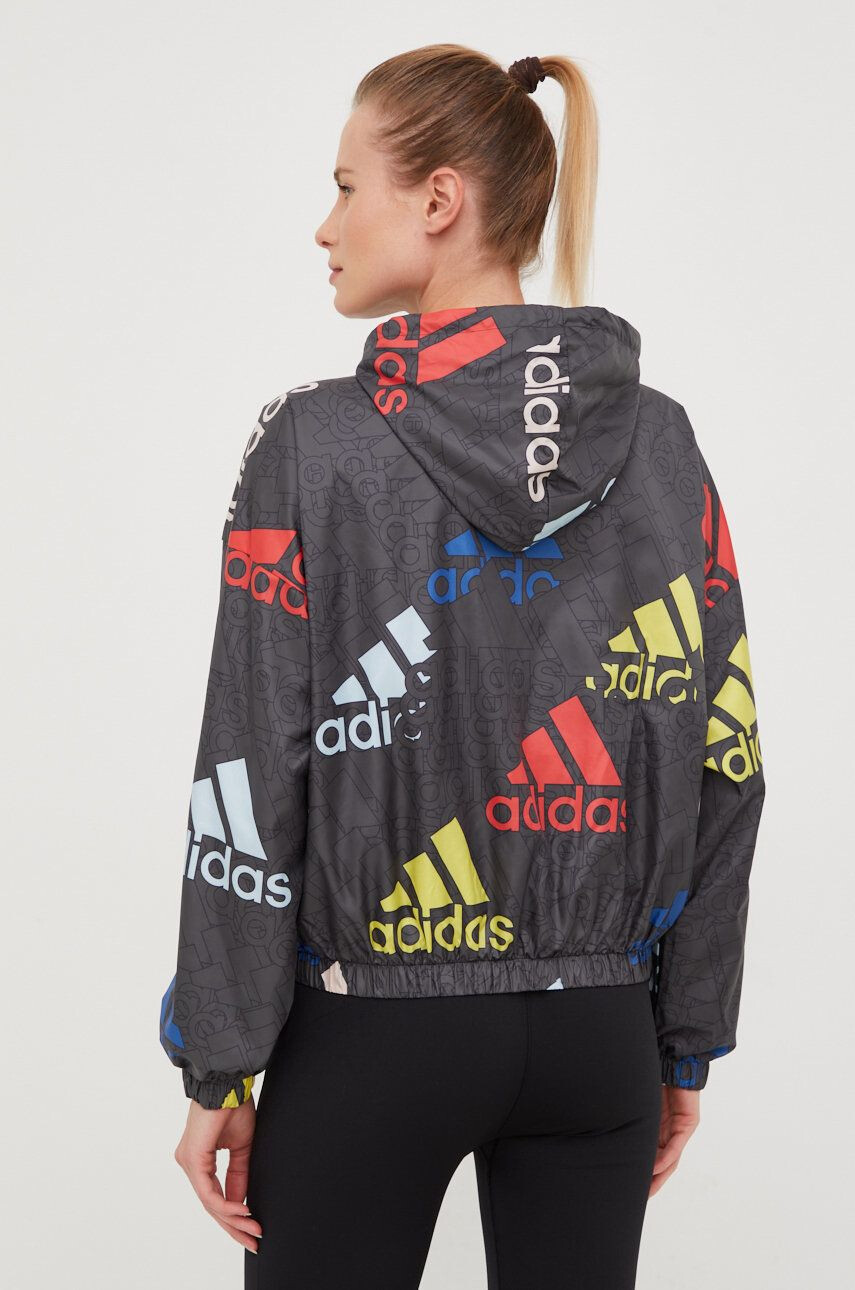 adidas geaca - Pled.ro