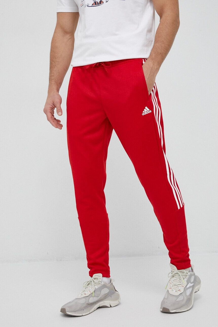 adidas pantaloni de trening culoarea rosu cu imprimeu - Pled.ro