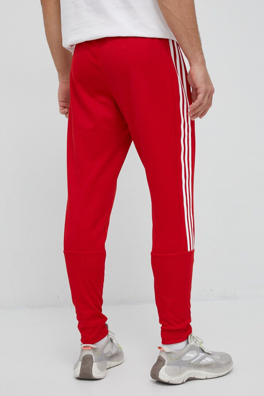 adidas pantaloni de trening culoarea rosu cu imprimeu - Pled.ro