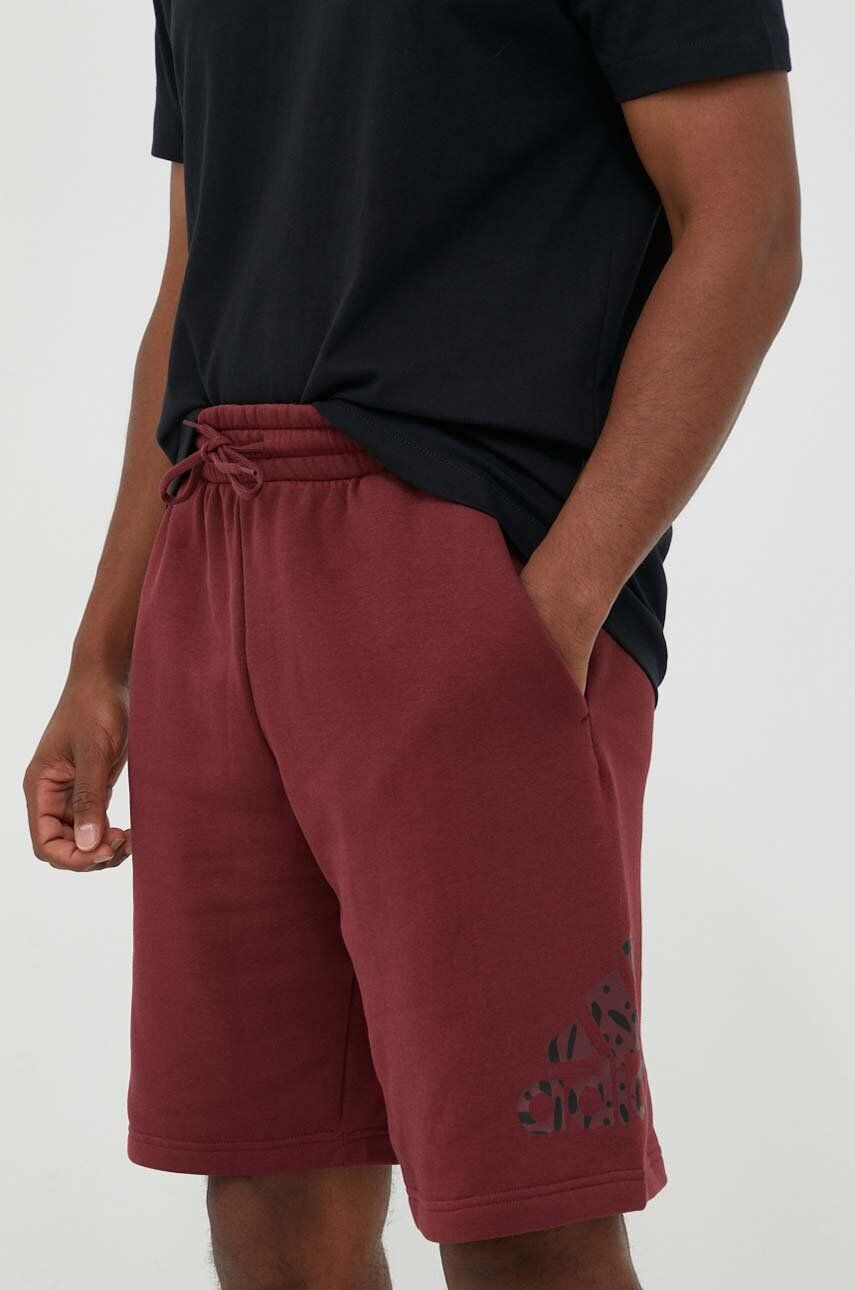 adidas pantaloni scurti barbati culoarea bordo - Pled.ro