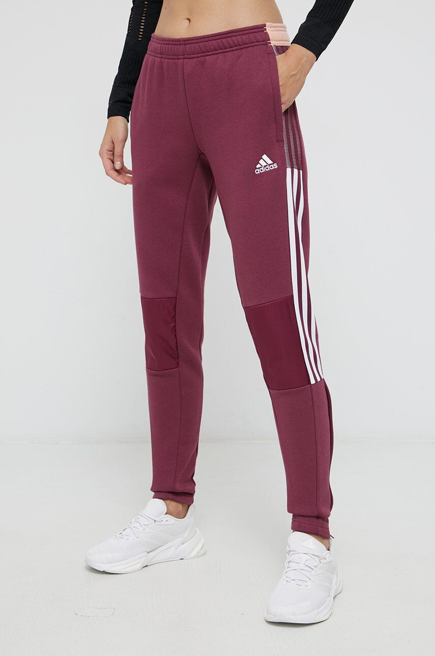 adidas Performance Pantaloni - Pled.ro