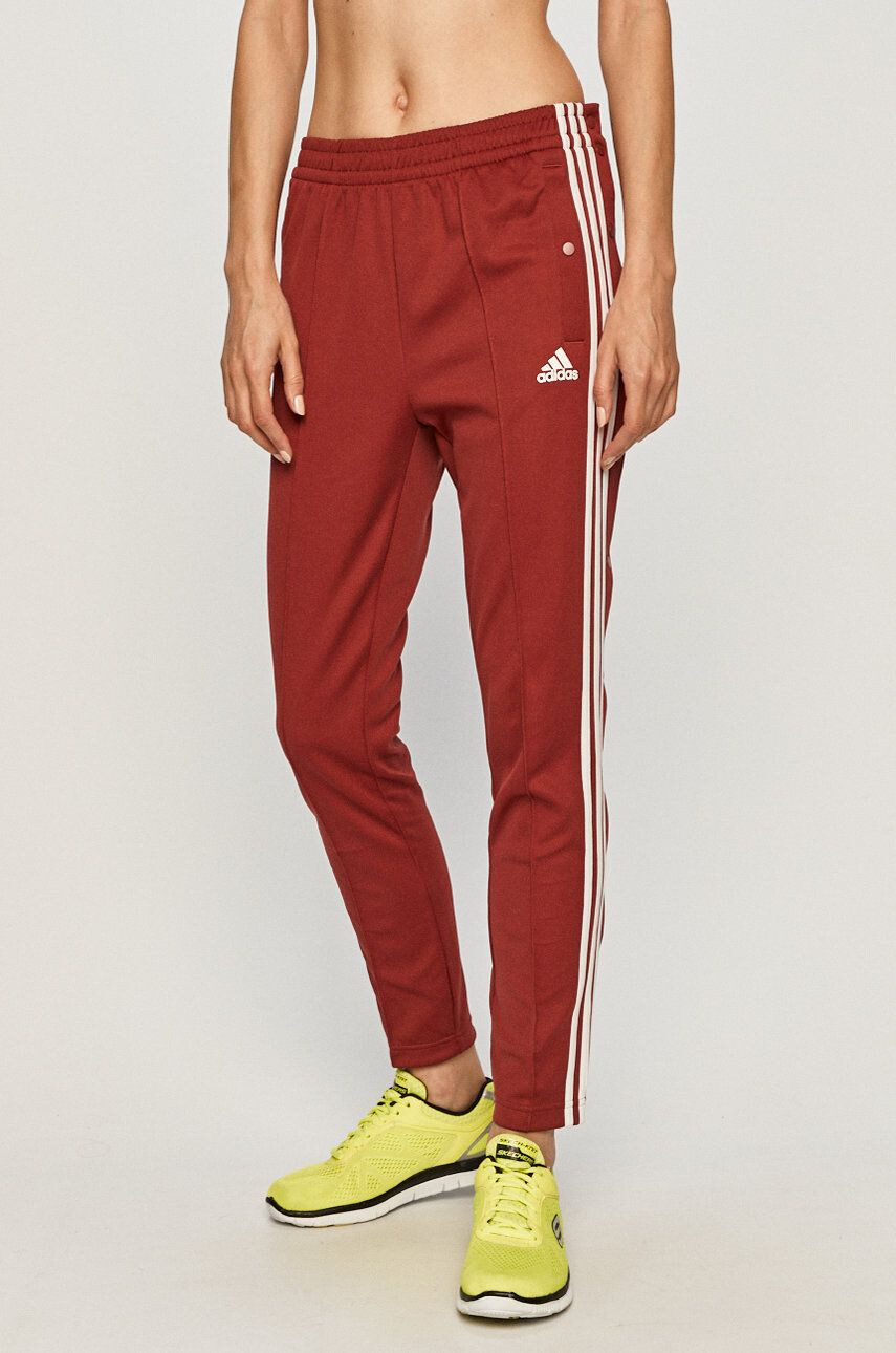 adidas Performance Pantaloni - Pled.ro