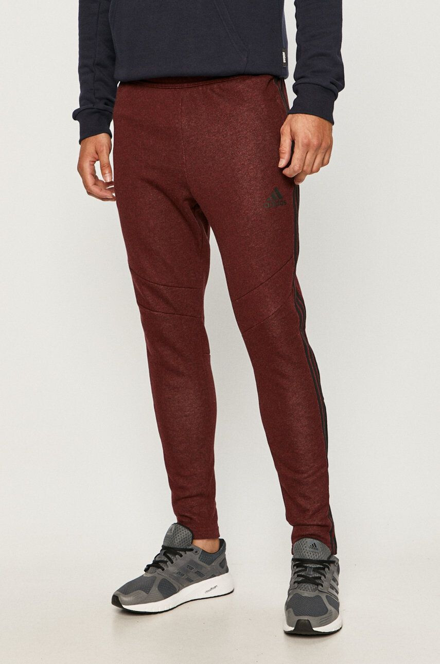 adidas Performance Pantaloni - Pled.ro