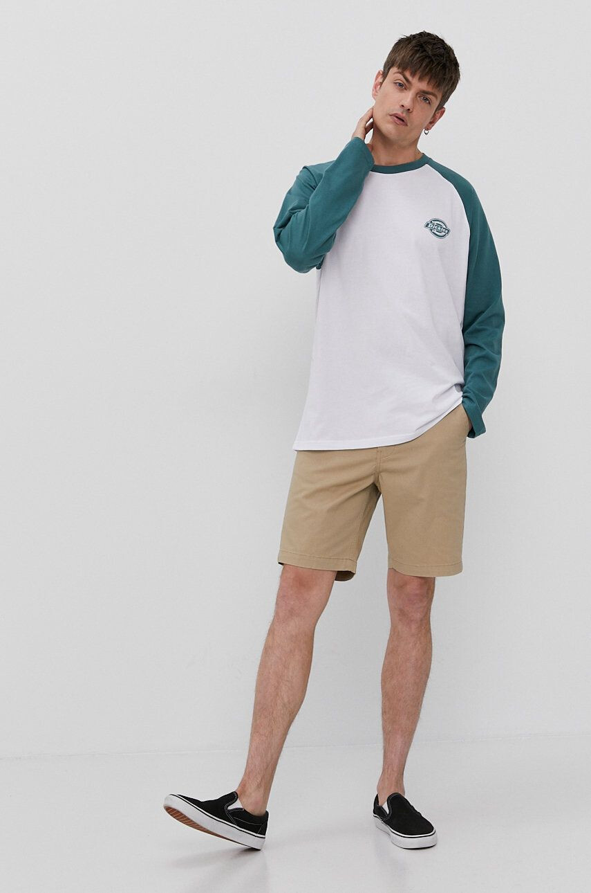 Dickies Longsleeve - Pled.ro