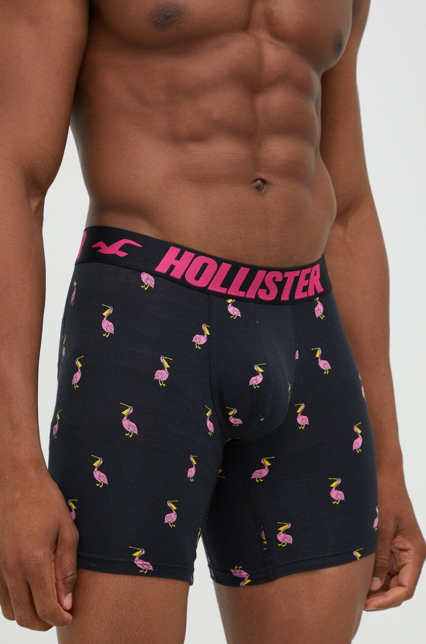 Hollister Co. boxeri (5-pack) - Pled.ro