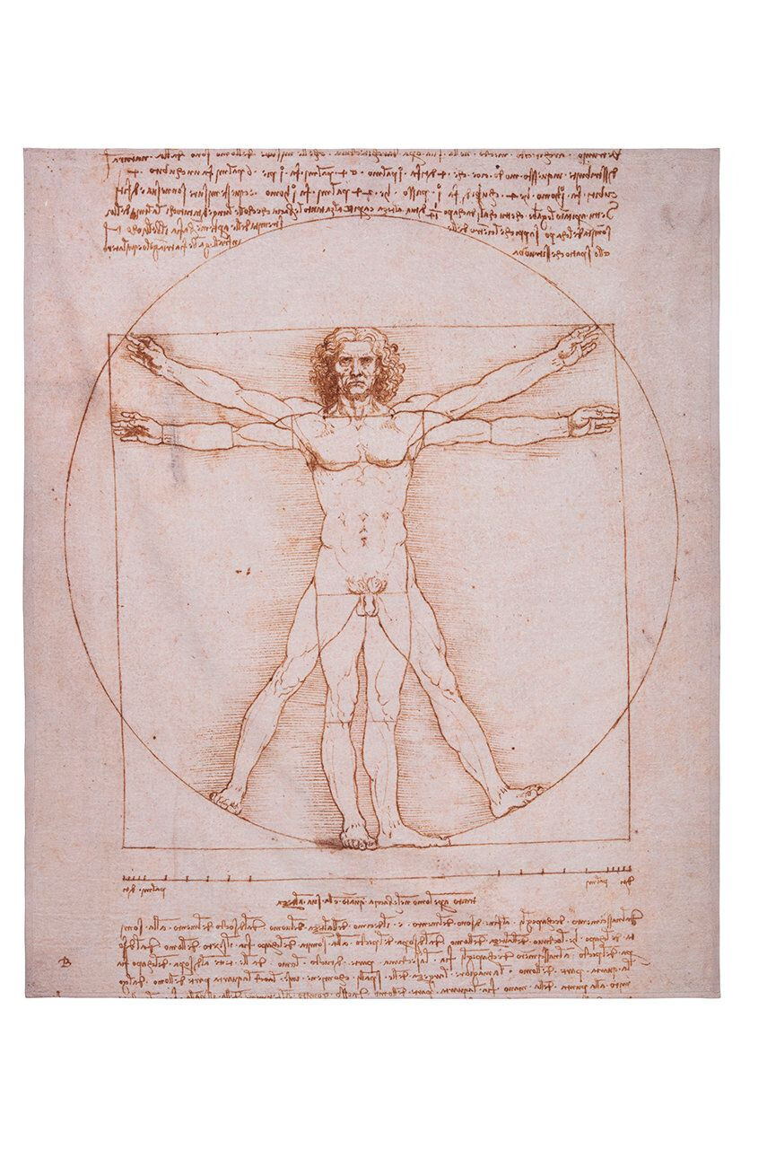 MuseArta Prosop Leonardo da Vinci - The Vitruvian Man - Pled.ro