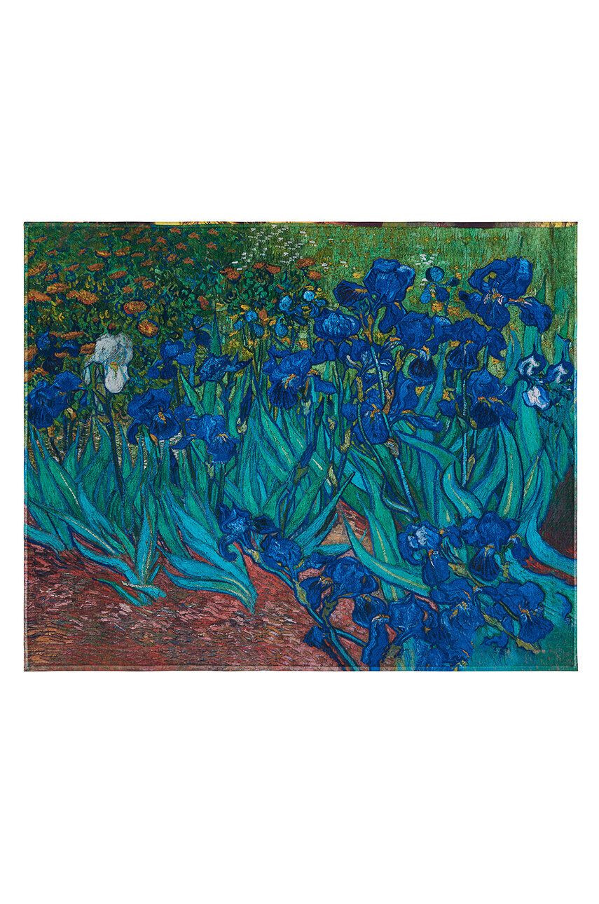 MuseArta Prosop Vincent van Gogh - Irises - Pled.ro