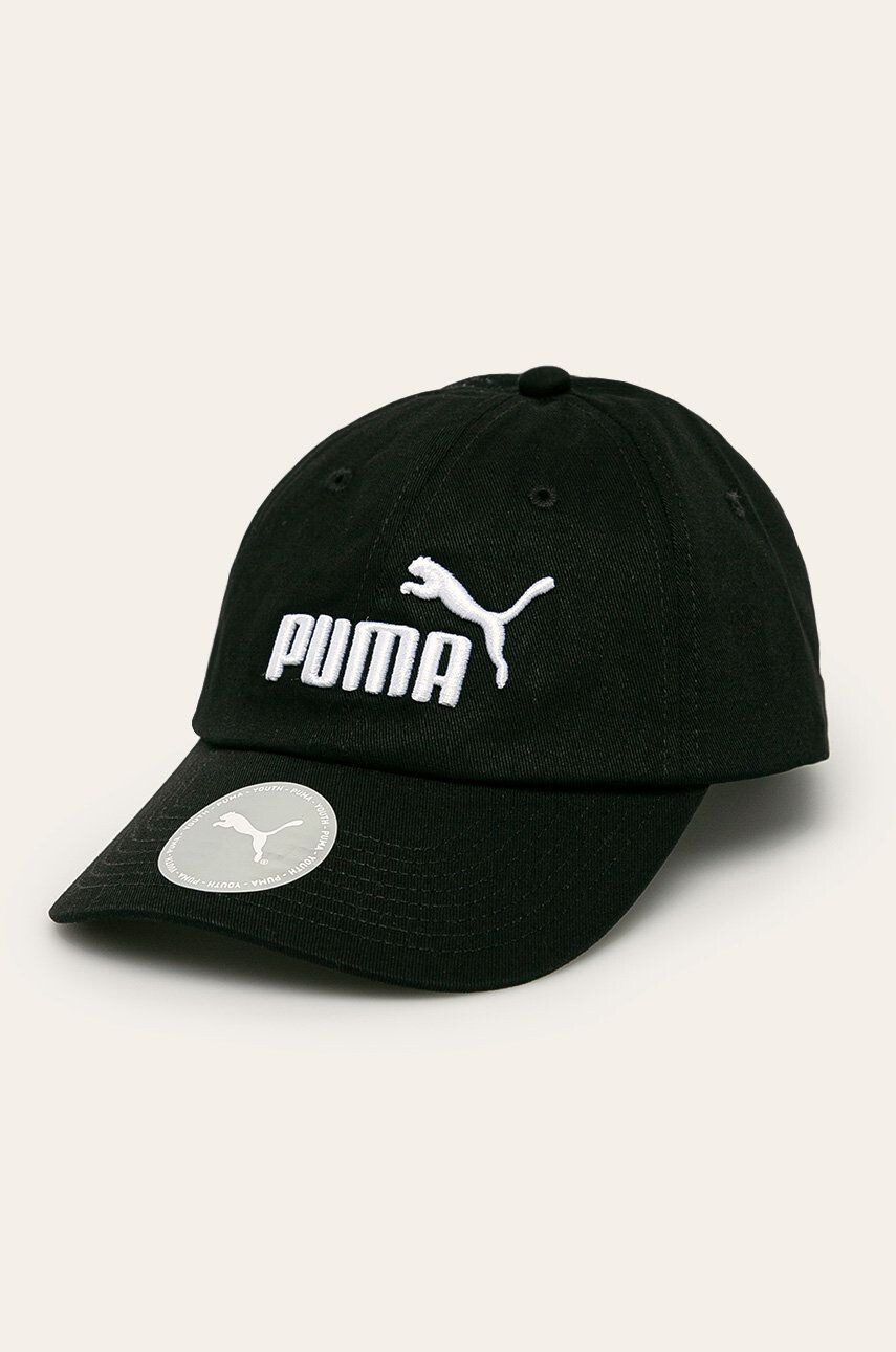 Puma caciula - Pled.ro